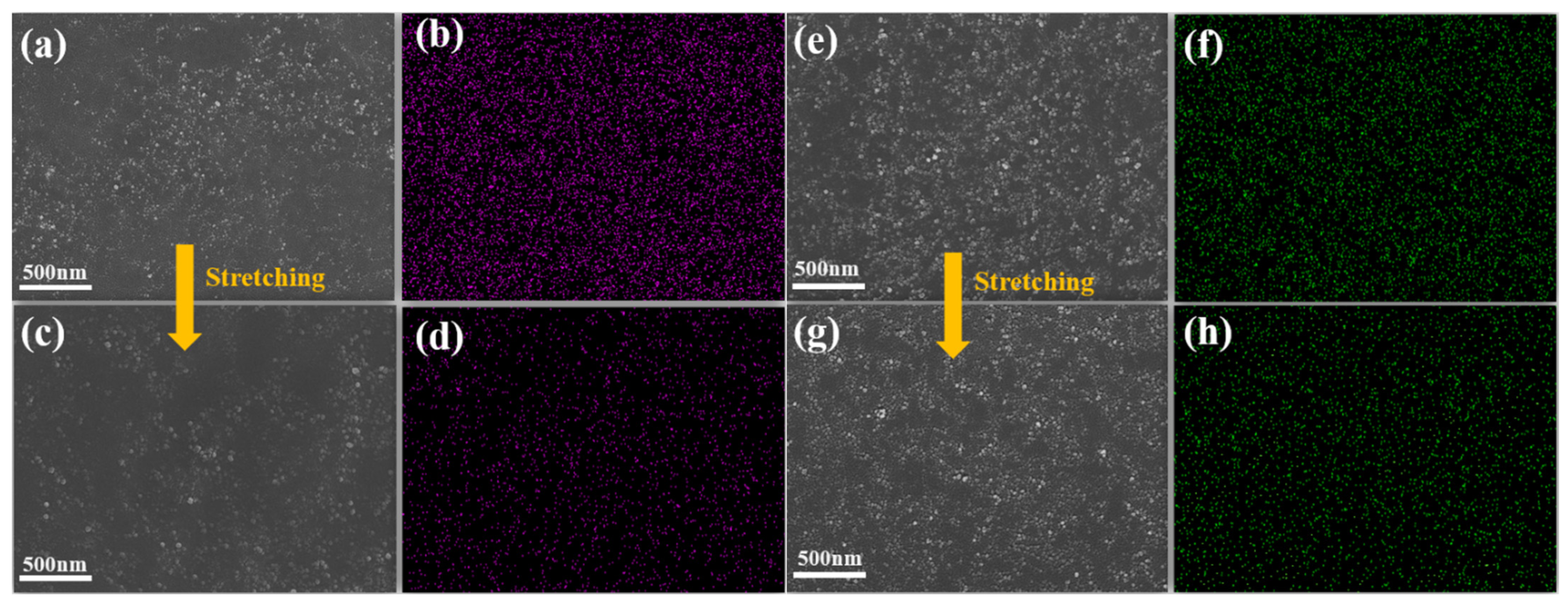 Molecules 29 02740 g006