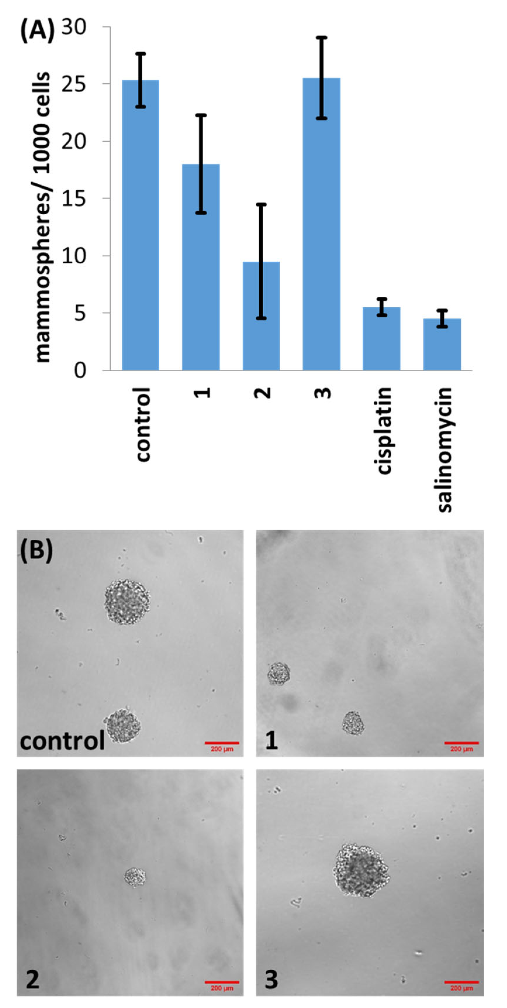 Molecules 29 02743 g003