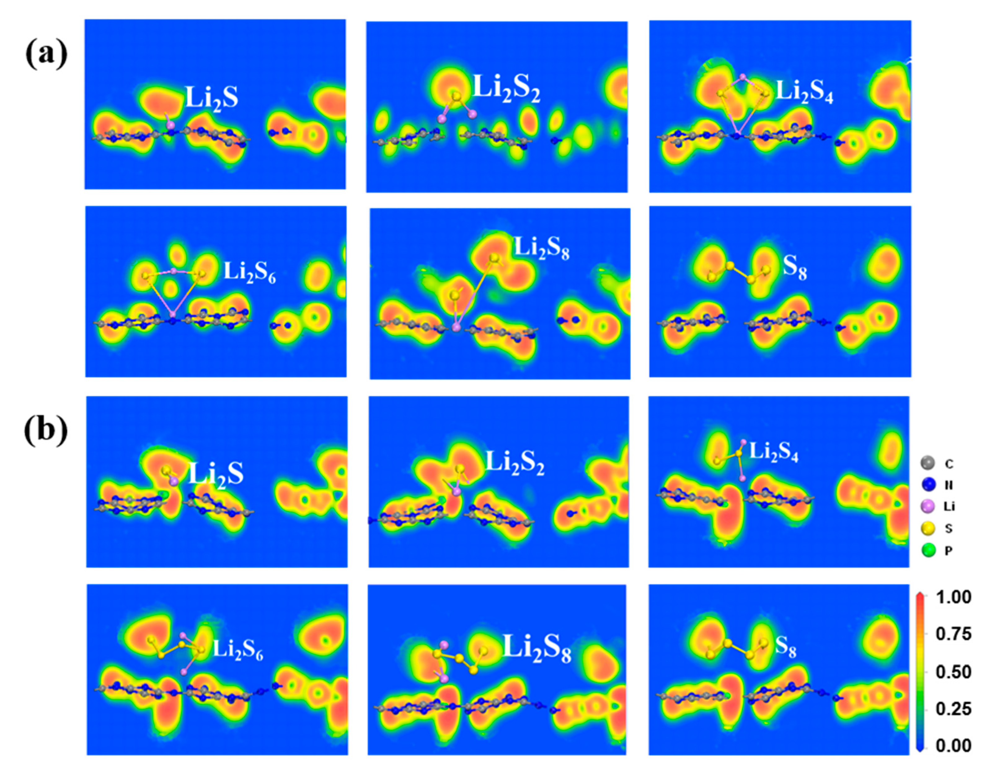 Molecules 29 02746 g006