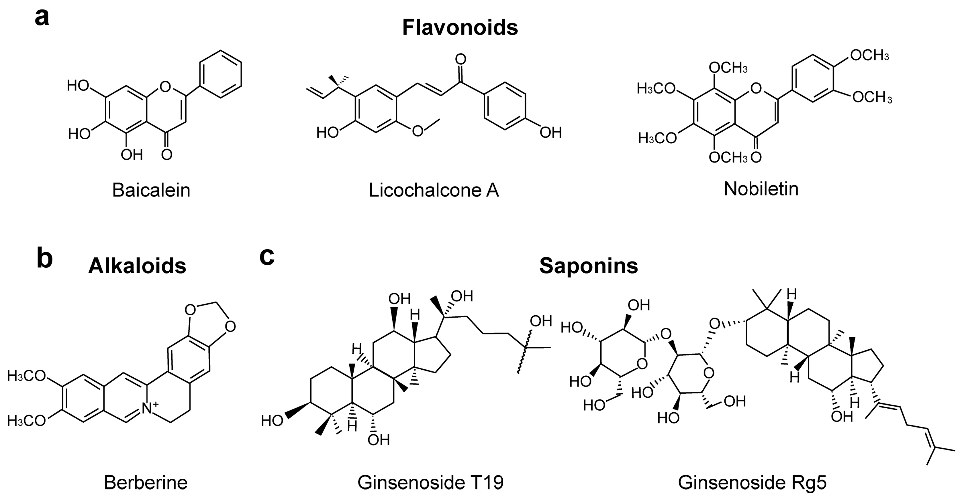 Molecules 29 02747 g001