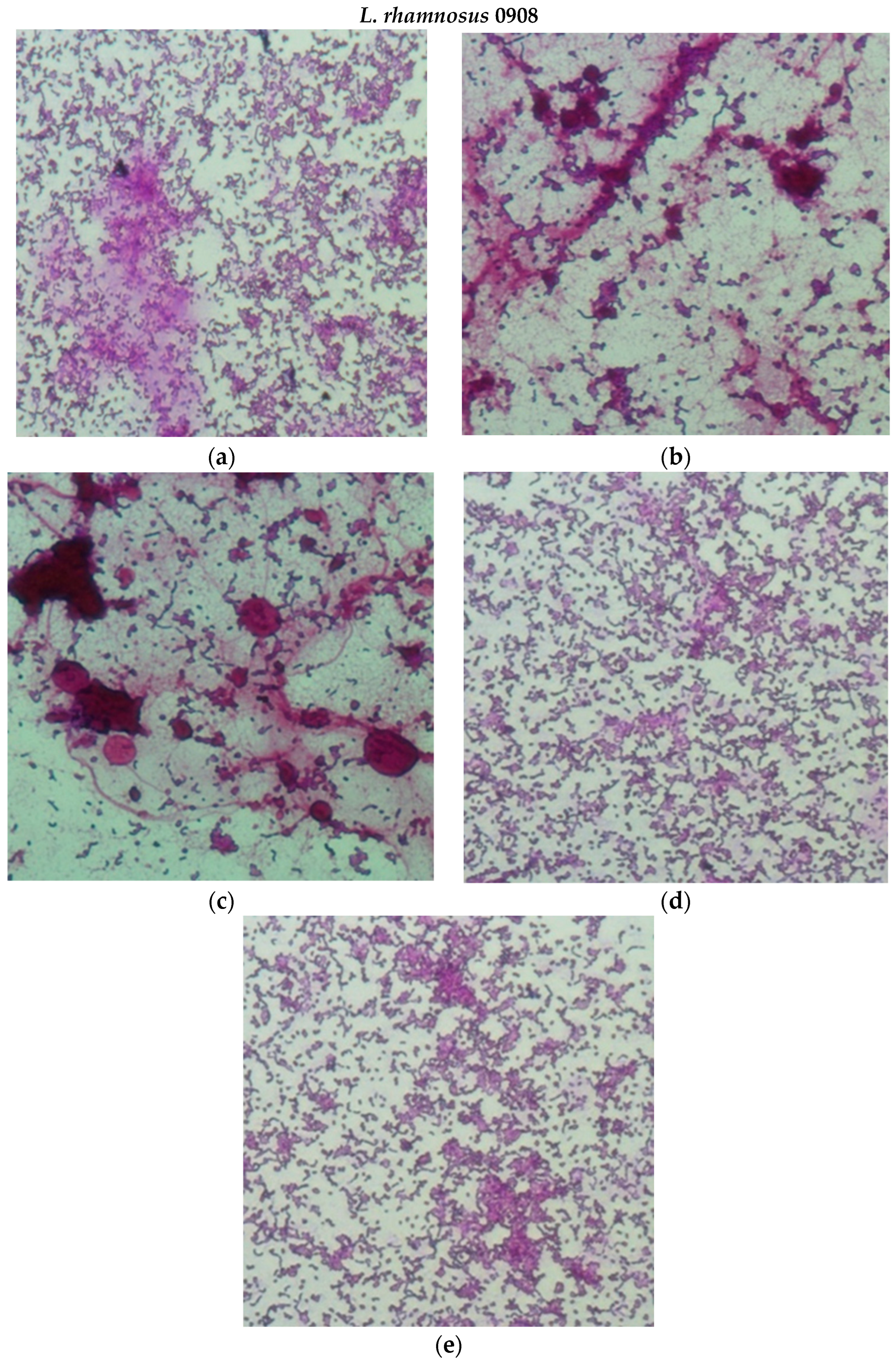 Molecules 29 02751 g008a