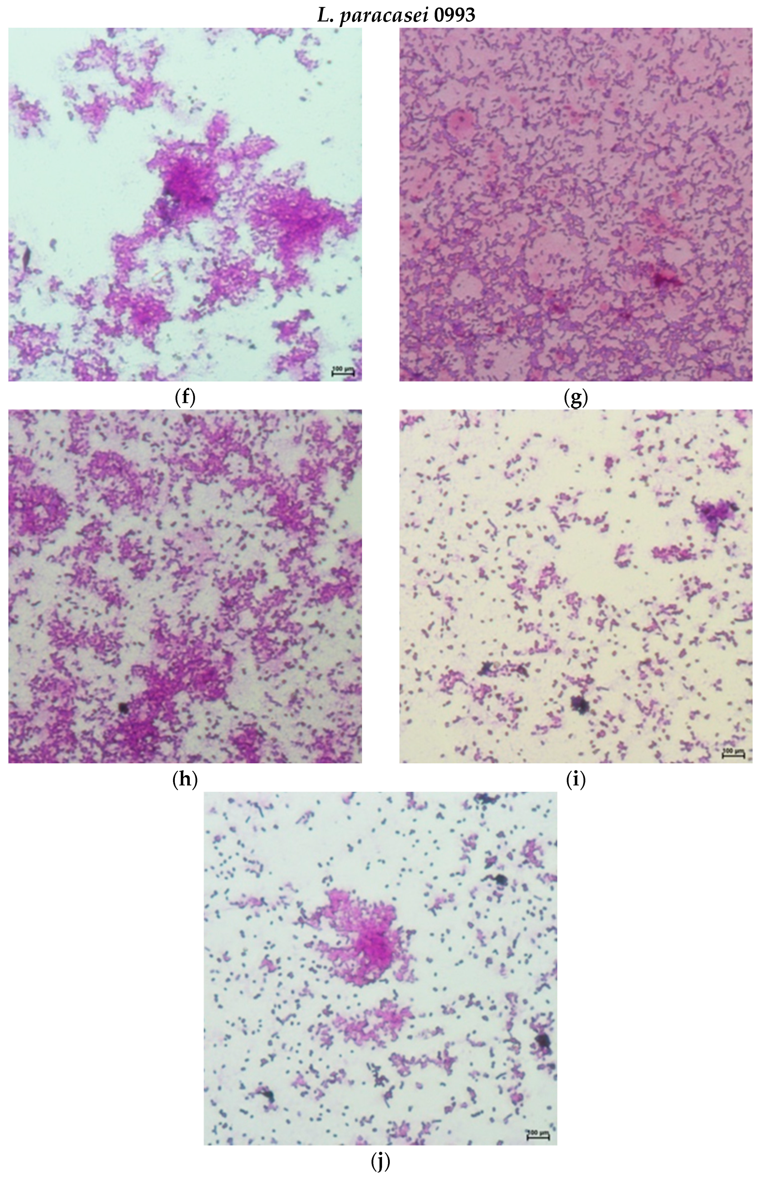 Molecules 29 02751 g008b