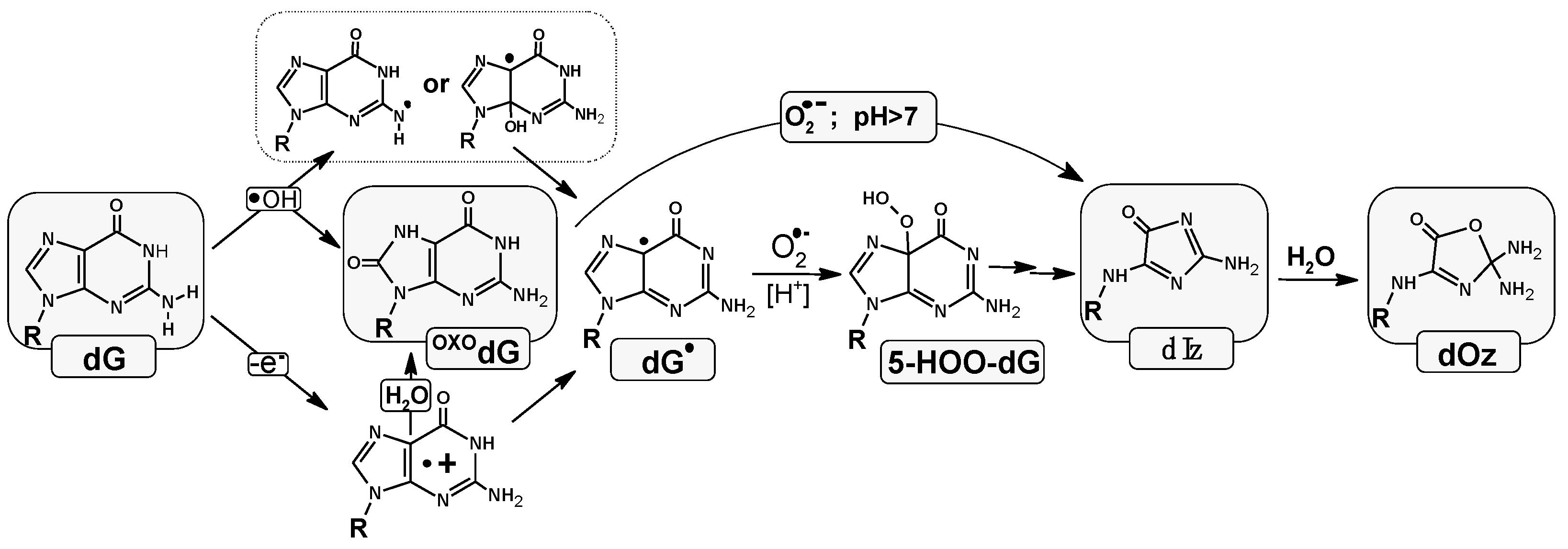 Molecules 29 02754 g001 Molecules 29 02754 g001