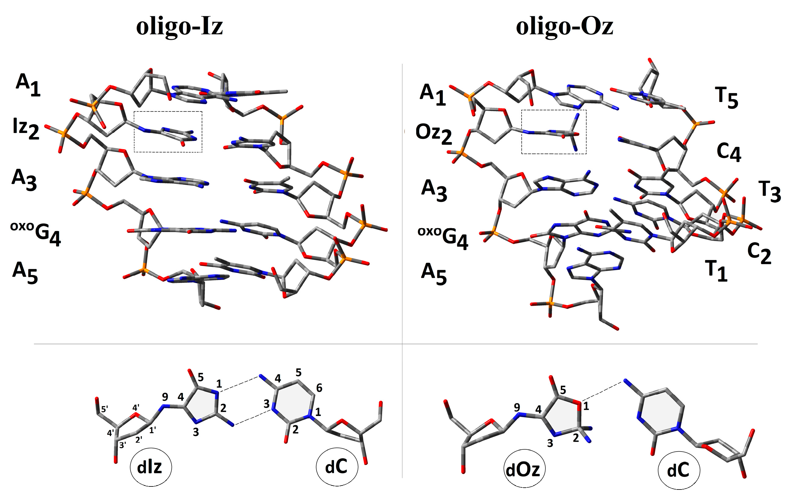 Molecules 29 02754 g002 Molecules 29 02754 g002