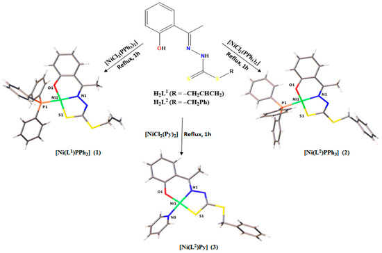 Structural Design, Anticancer Evaluation, and Molecular Docking of