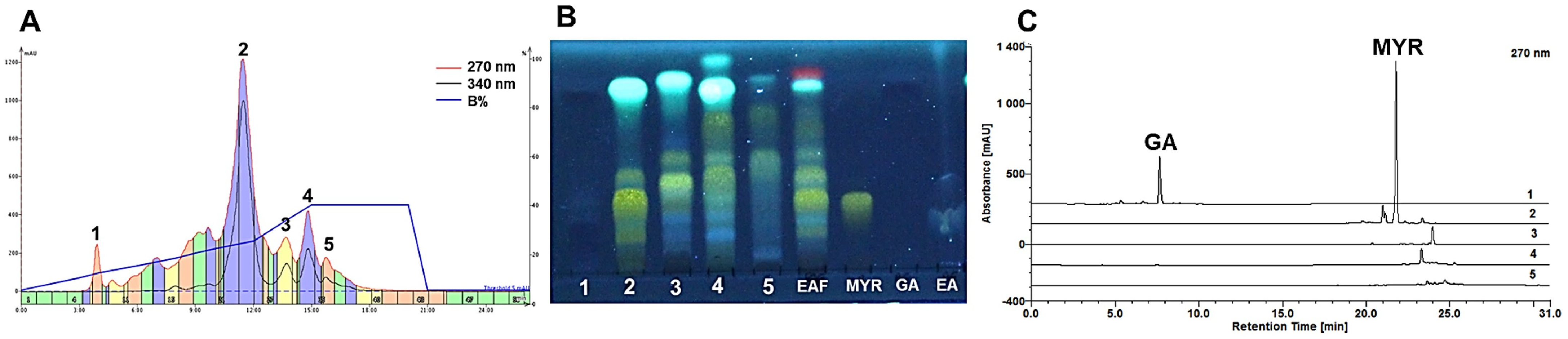 Molecules 29 02761 g001