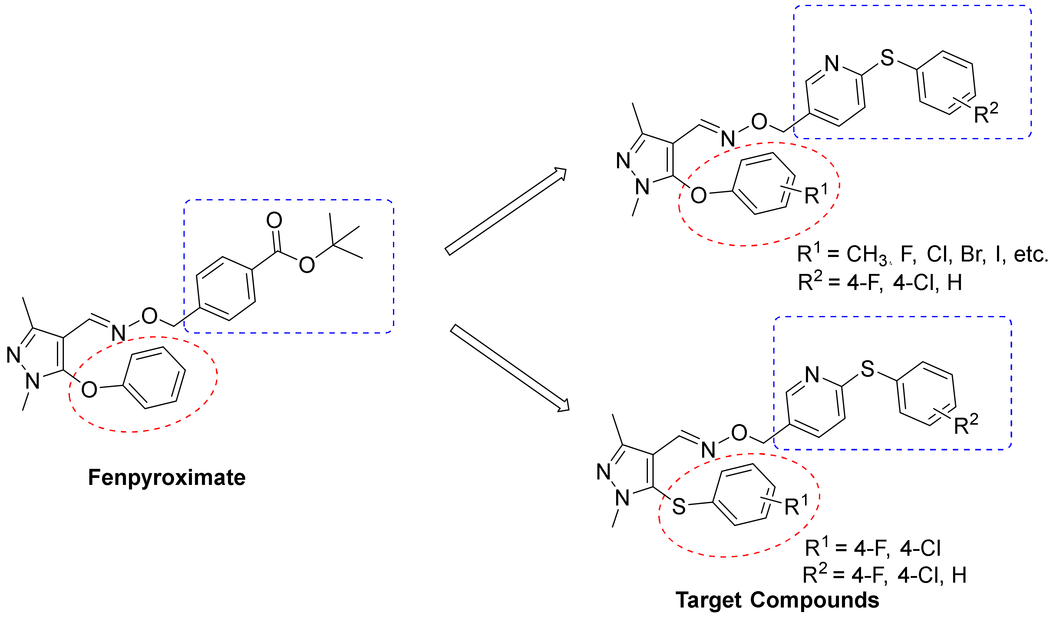 Molecules 29 02767 g002