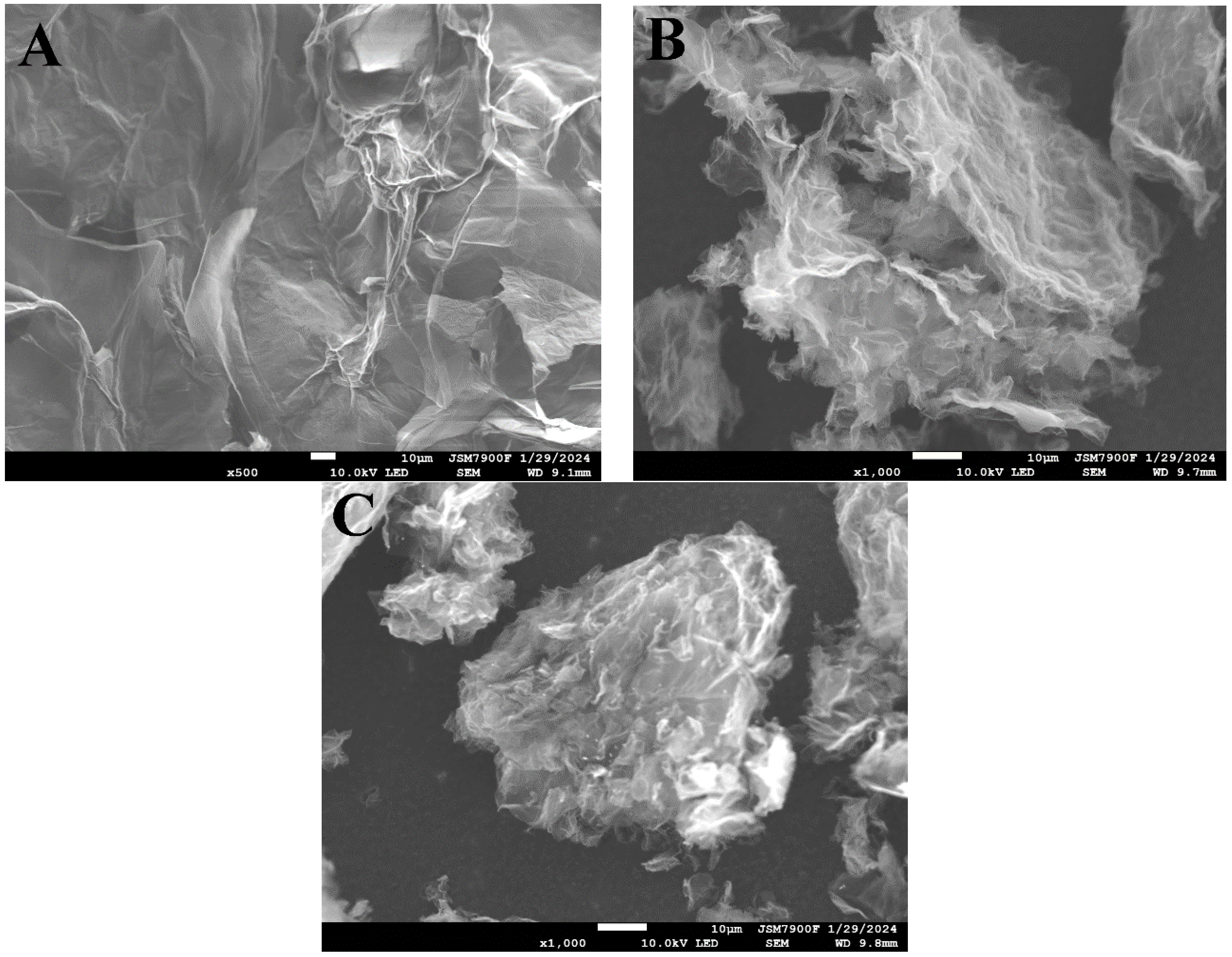 Molecules 29 02778 g001