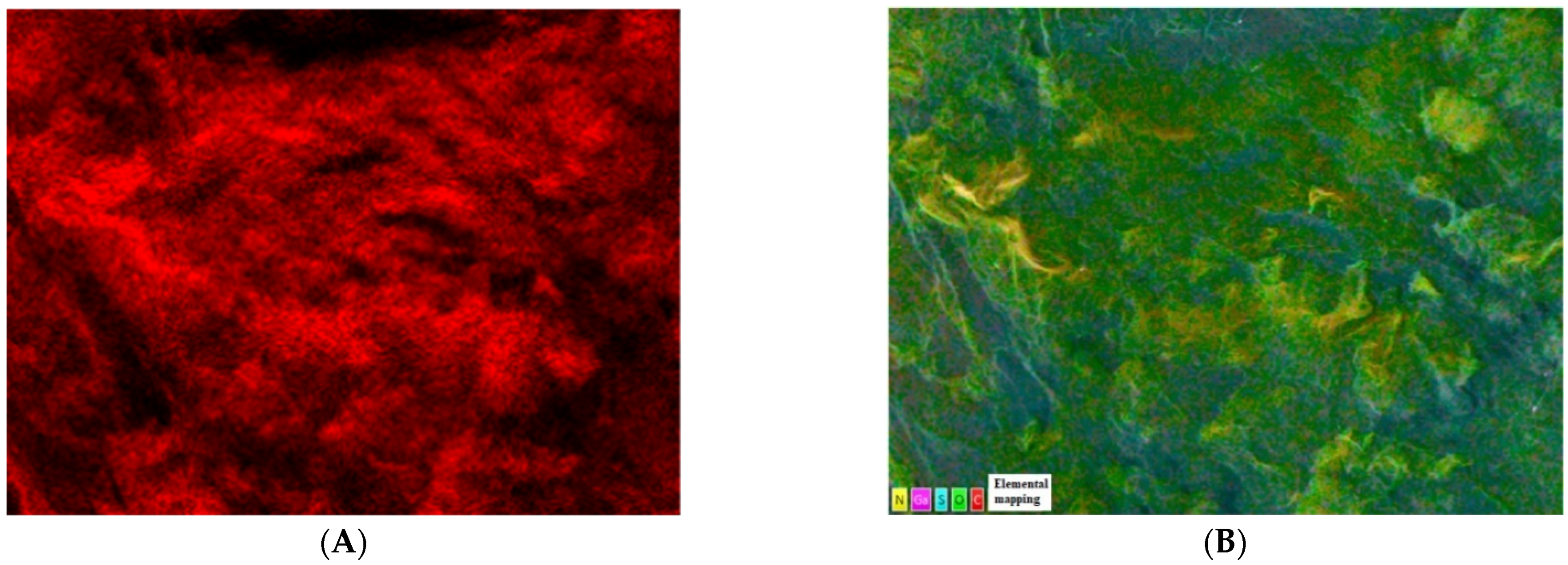 Molecules 29 02778 g002a