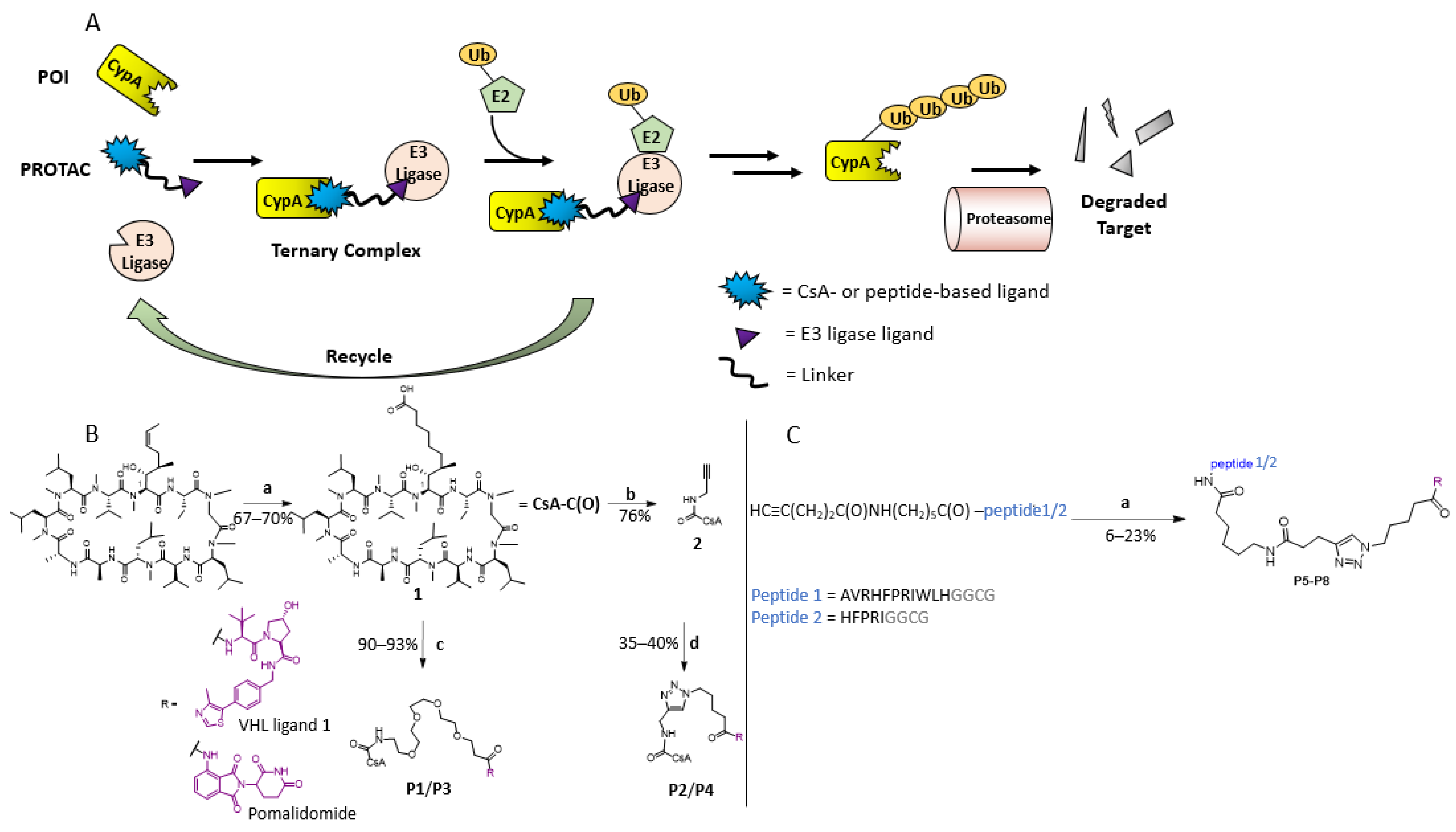 Molecules 29 02779 g001