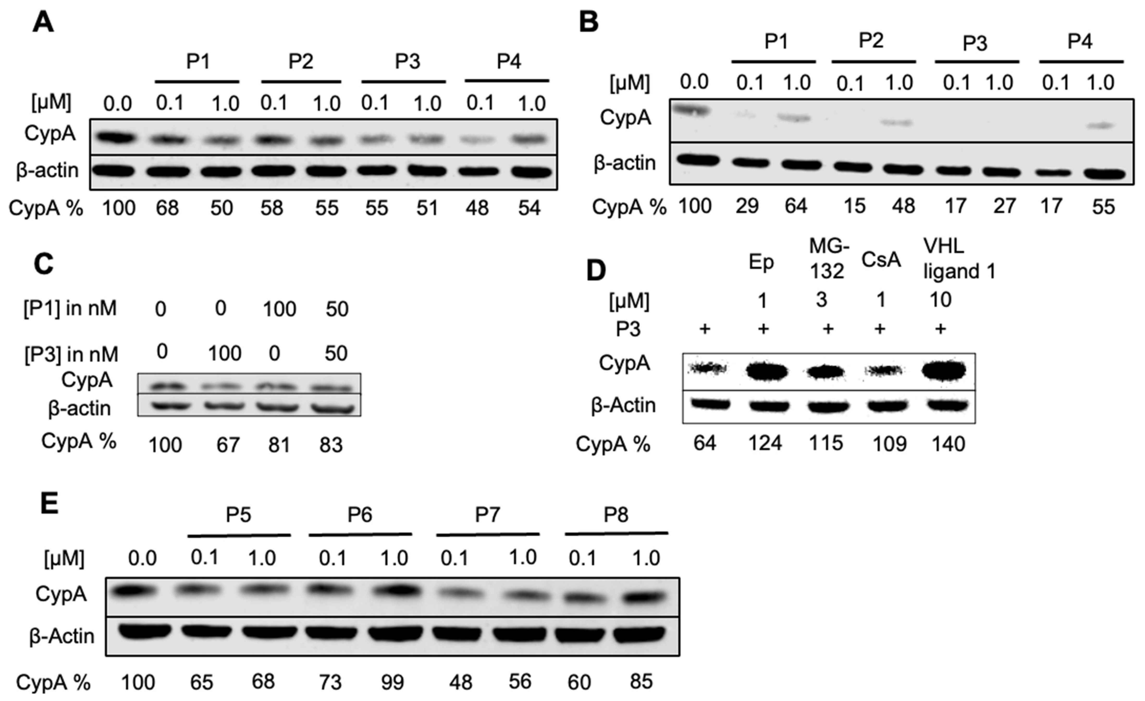 Molecules 29 02779 g002