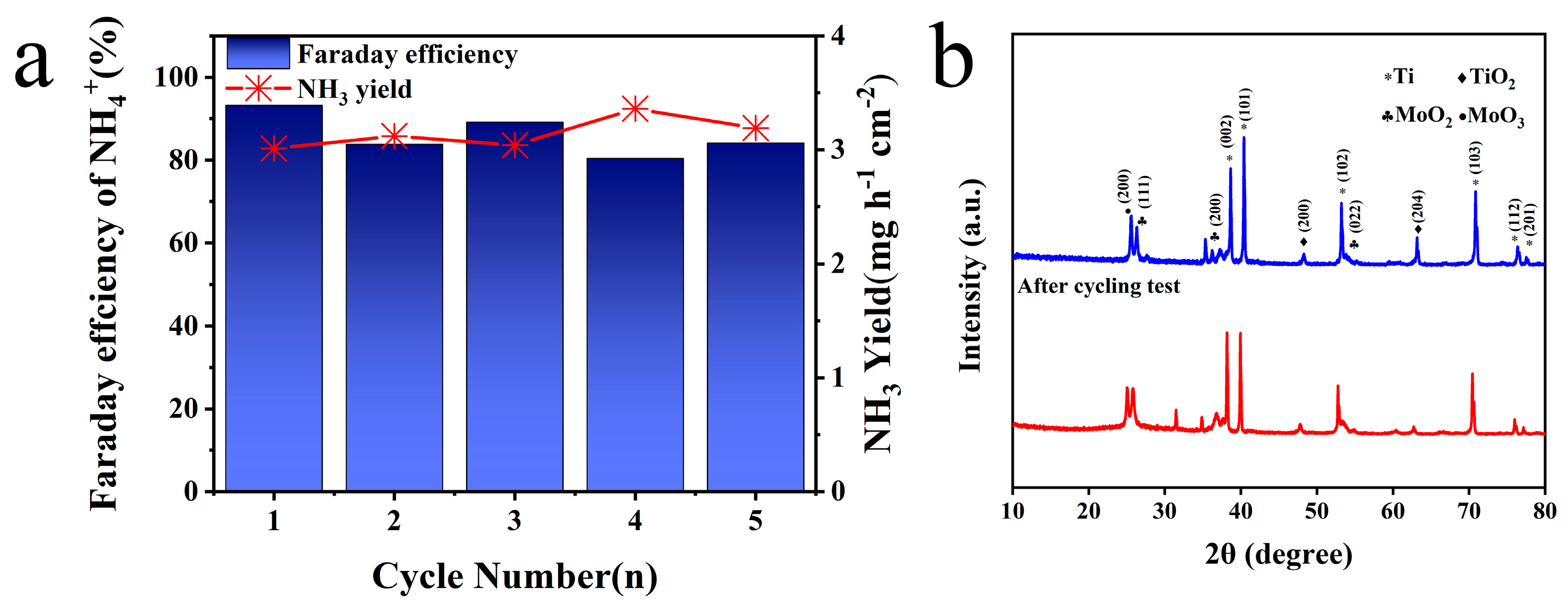 Molecules 29 02782 g006