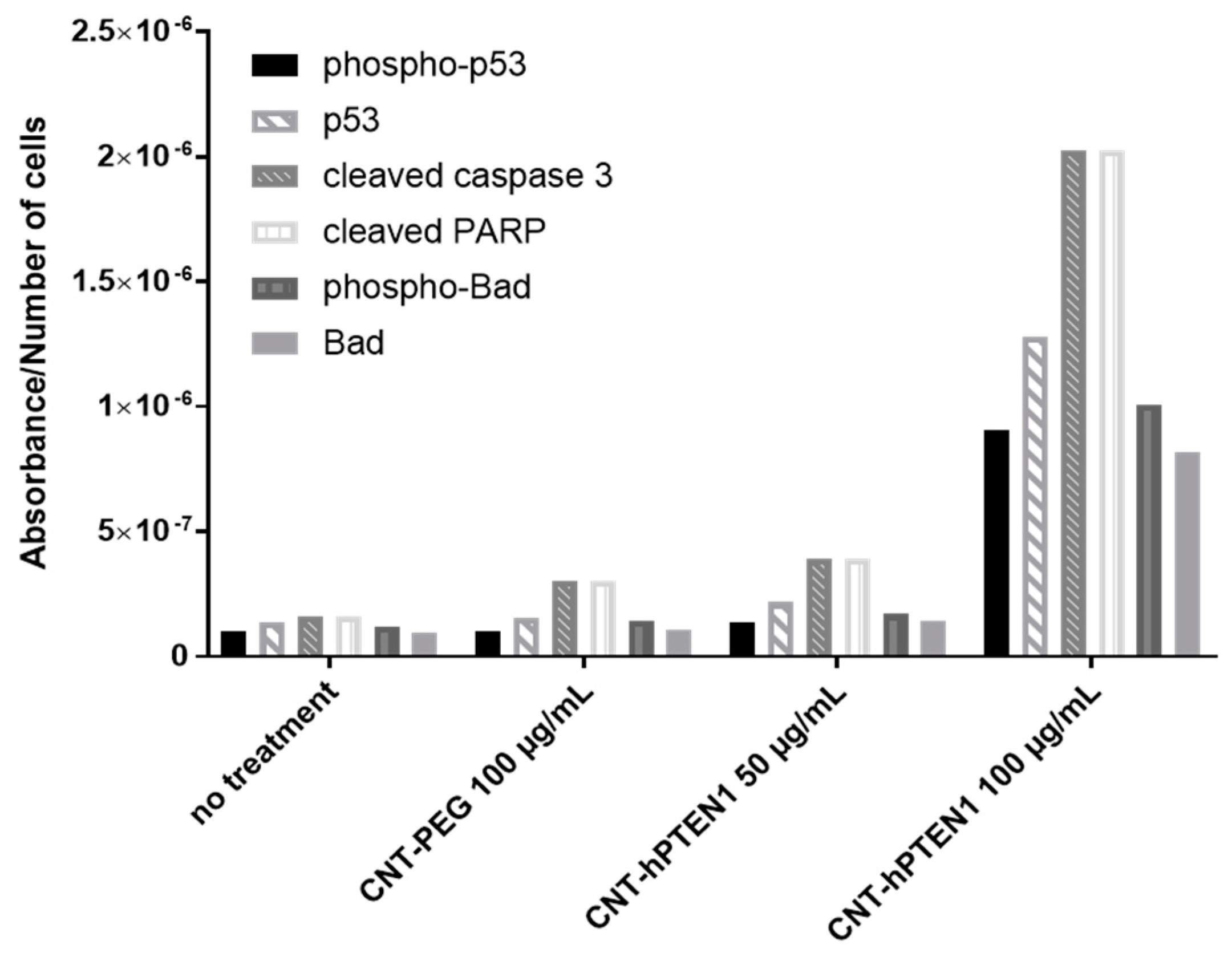Molecules 29 02785 g007