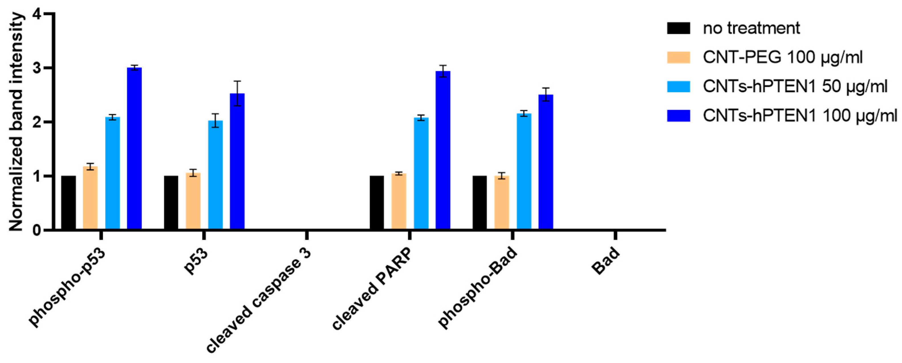 Molecules 29 02785 g008