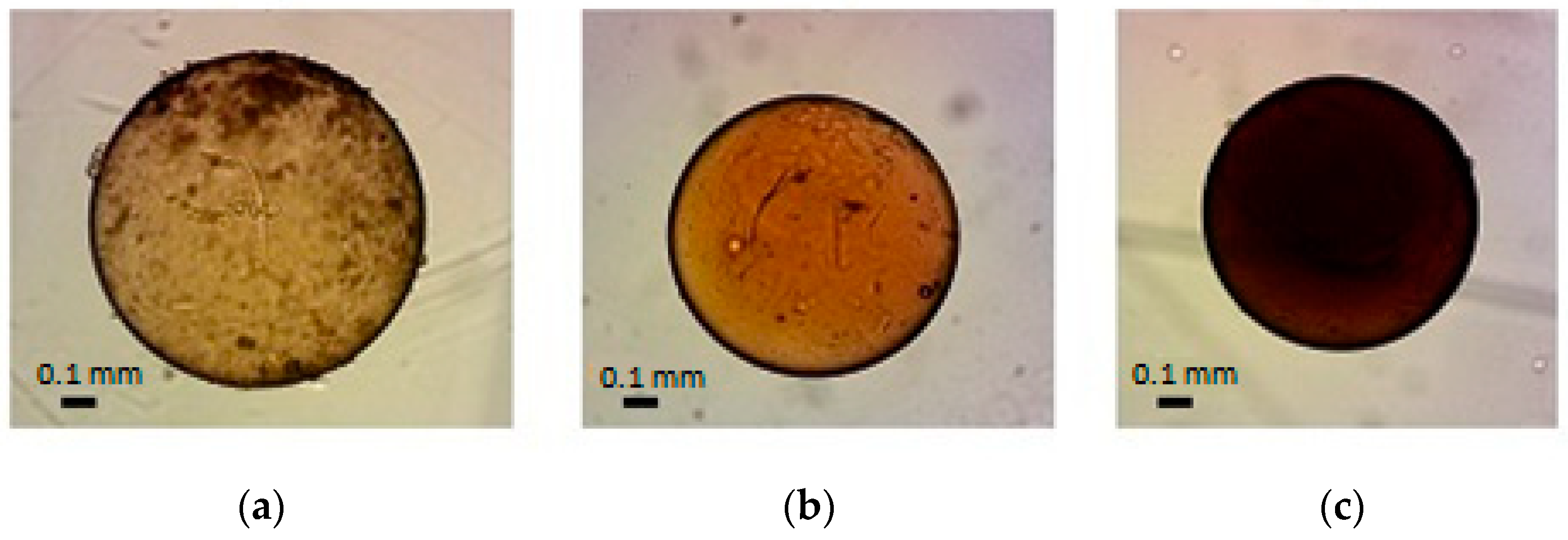 Molecules 29 02794 g001