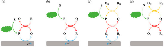 EXTRACTOR Overview on the Development of Electrochemical Immunosensors by ... Overview on the Development of Electrochemical Immunosensors by ... EXTRACTOR Overview on the Development of Electrochemical Immunosensors by ... Overview on the Development of Electrochemical Immunosensors by ...