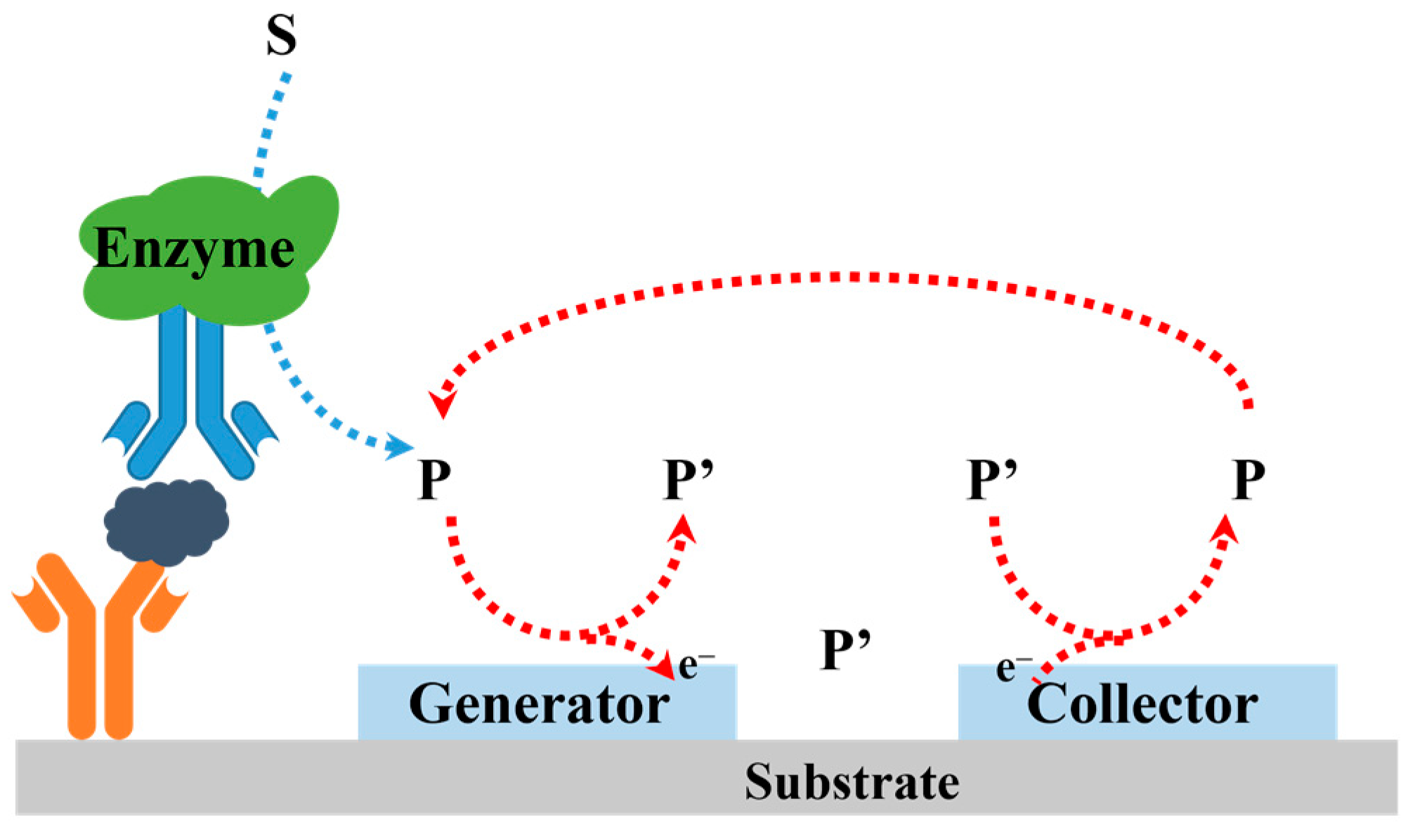Molecules 29 02796 g004