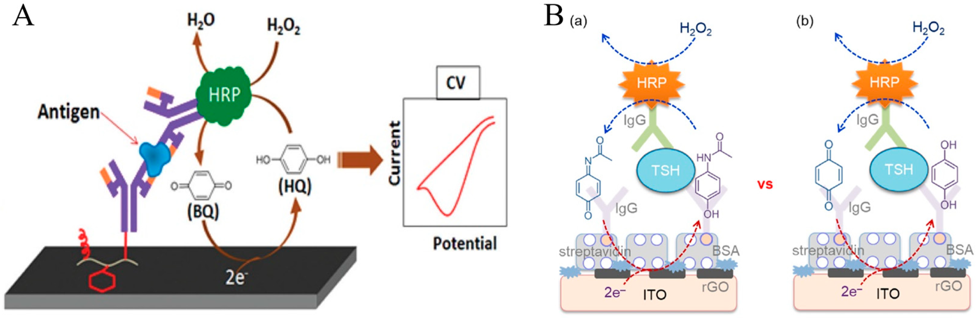 Molecules 29 02796 g005