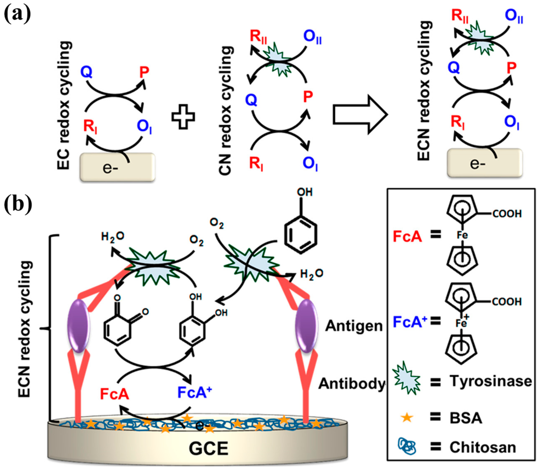 Molecules 29 02796 g009