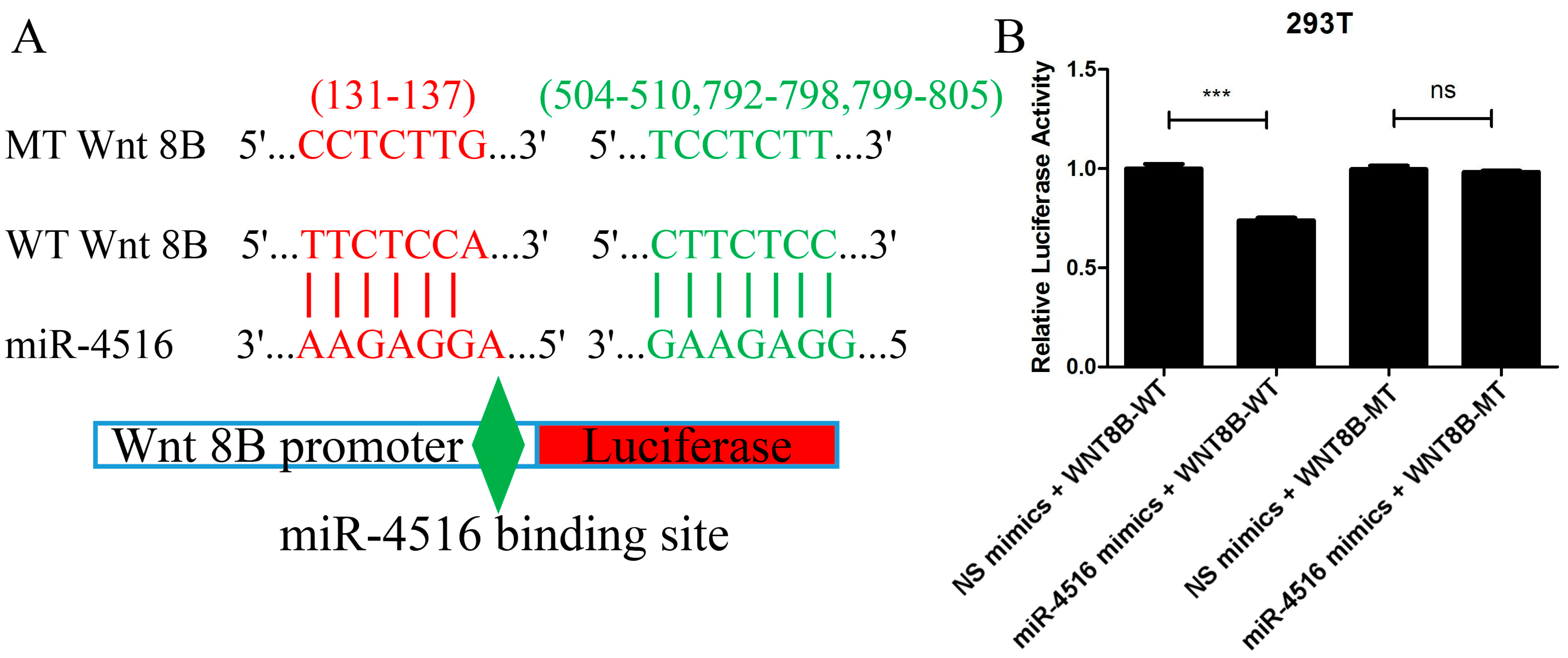 Molecules 29 02797 g006