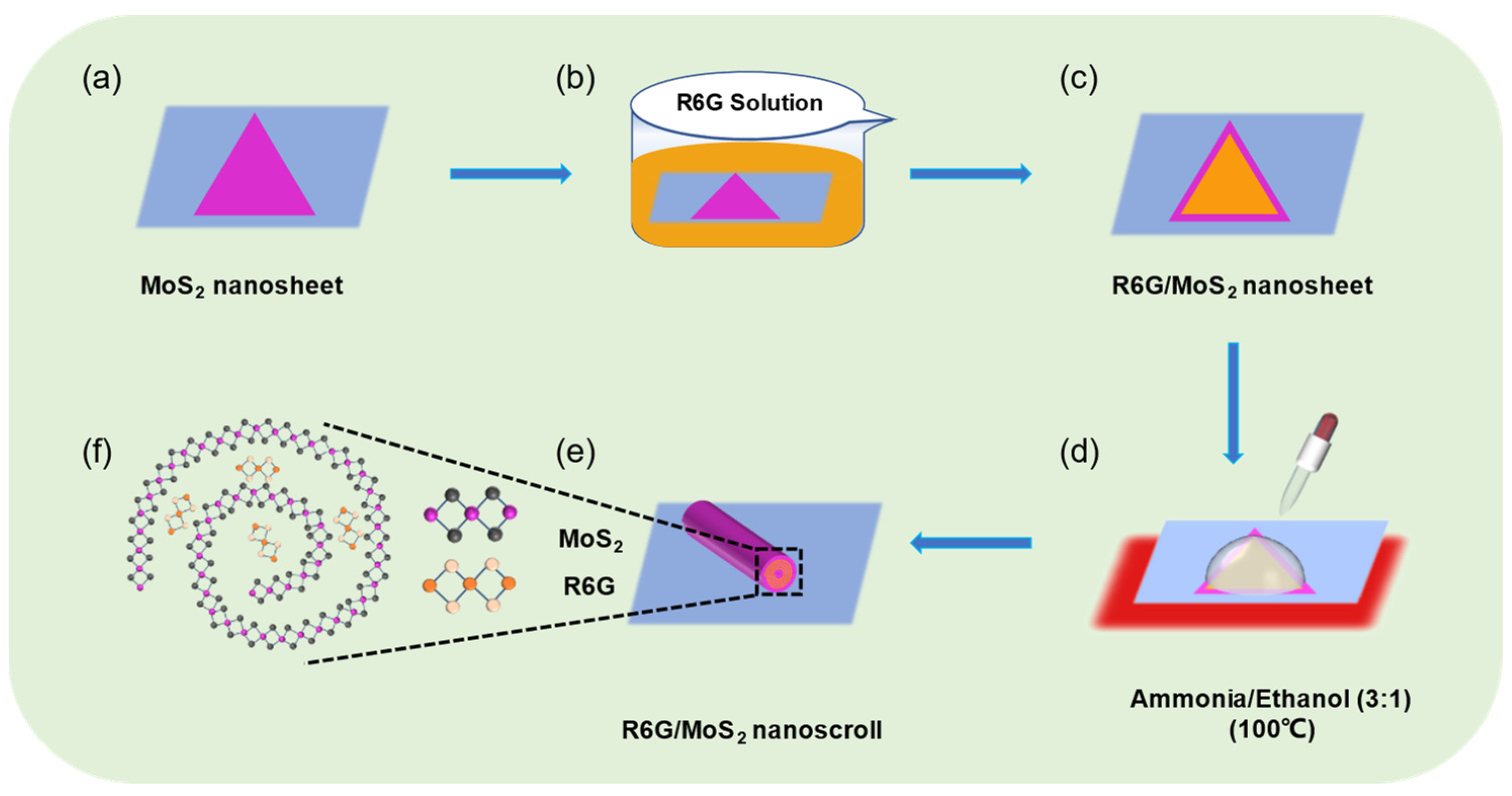 Molecules 29 02799 g001