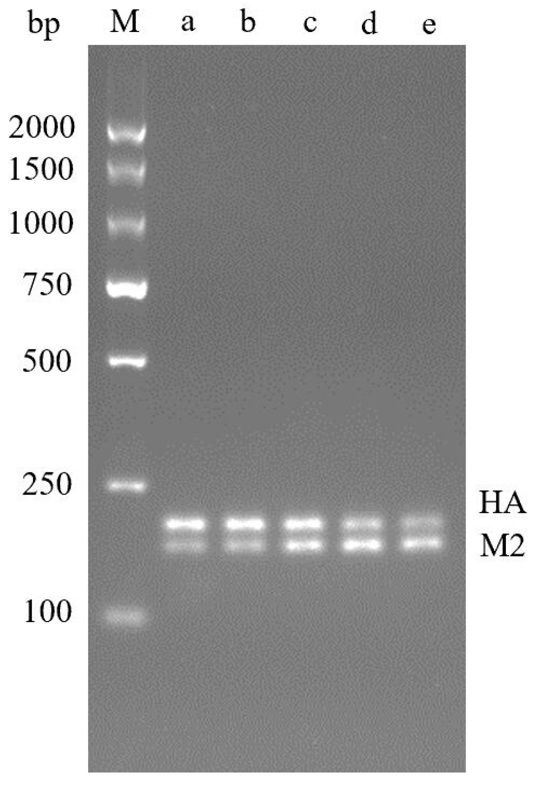 Molecules 29 02801 g002 Molecules 29 02801 g002
