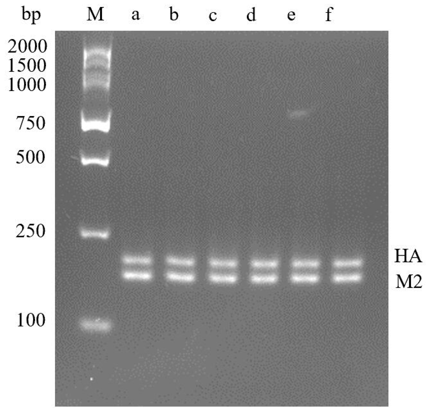 Molecules 29 02801 g003 Molecules 29 02801 g003