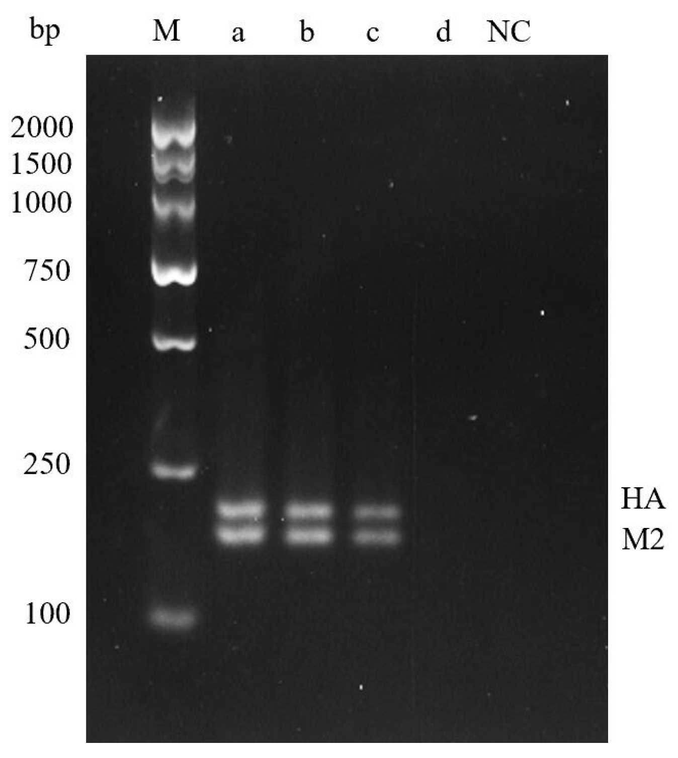 Molecules 29 02801 g005 Molecules 29 02801 g005