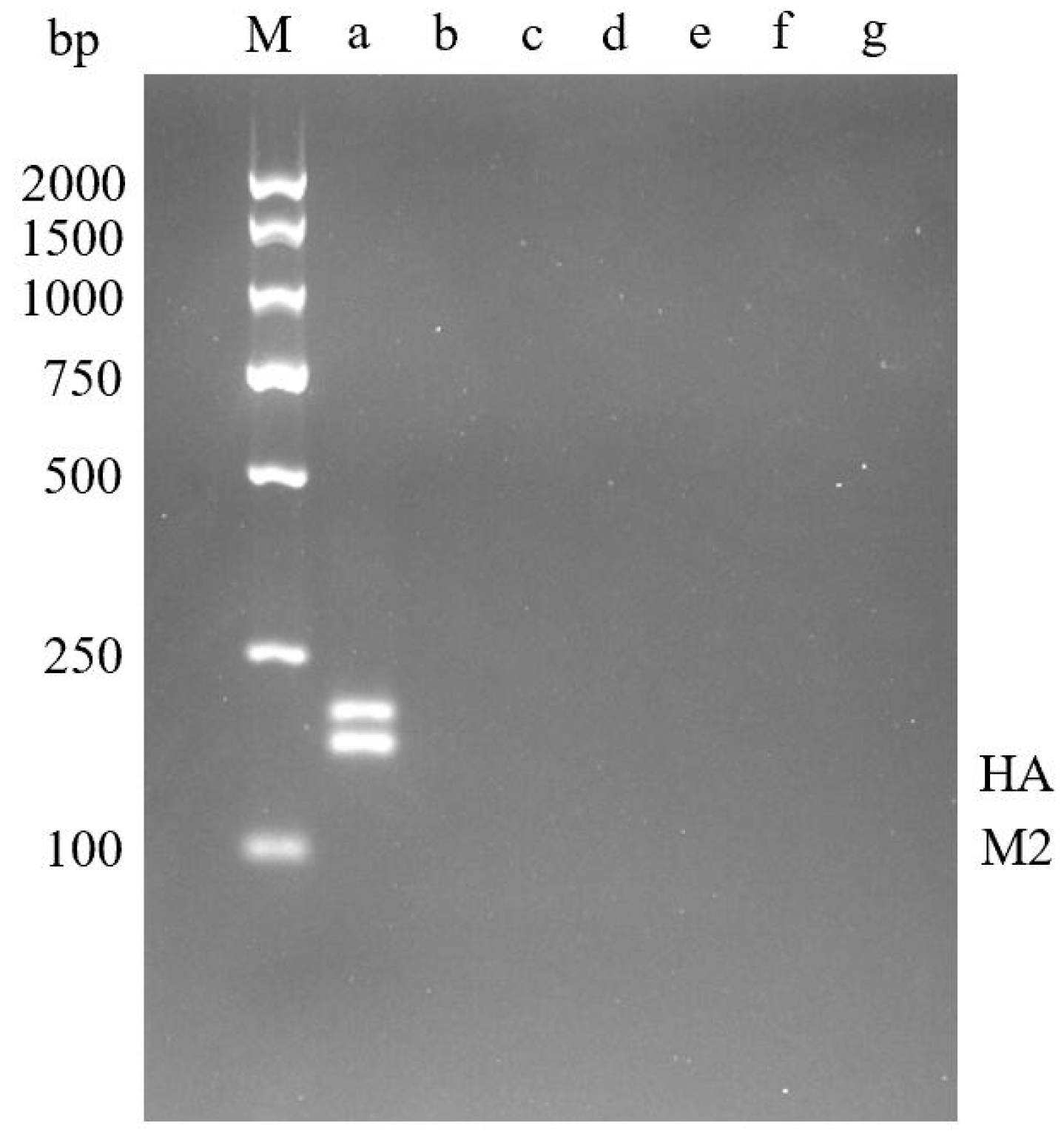 Molecules 29 02801 g006 Molecules 29 02801 g006