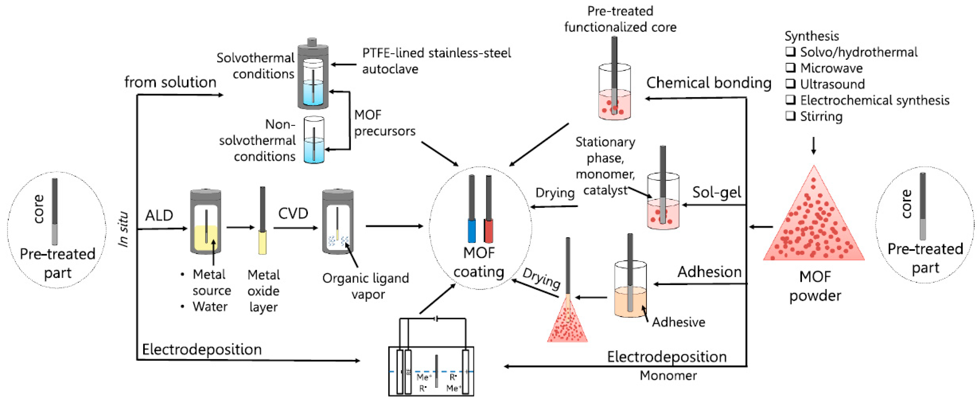 Molecules 29 02802 g001