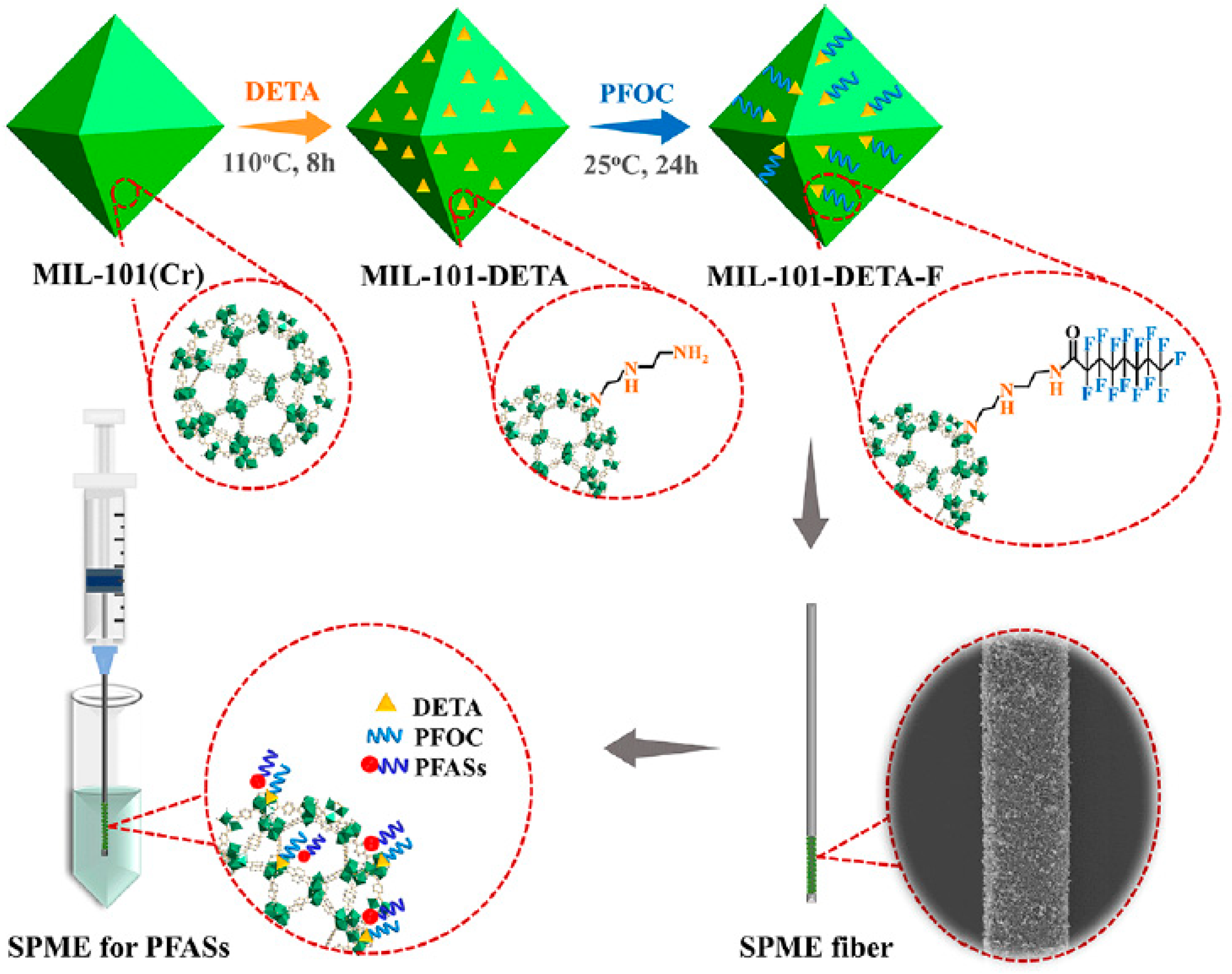 Molecules 29 02802 g005