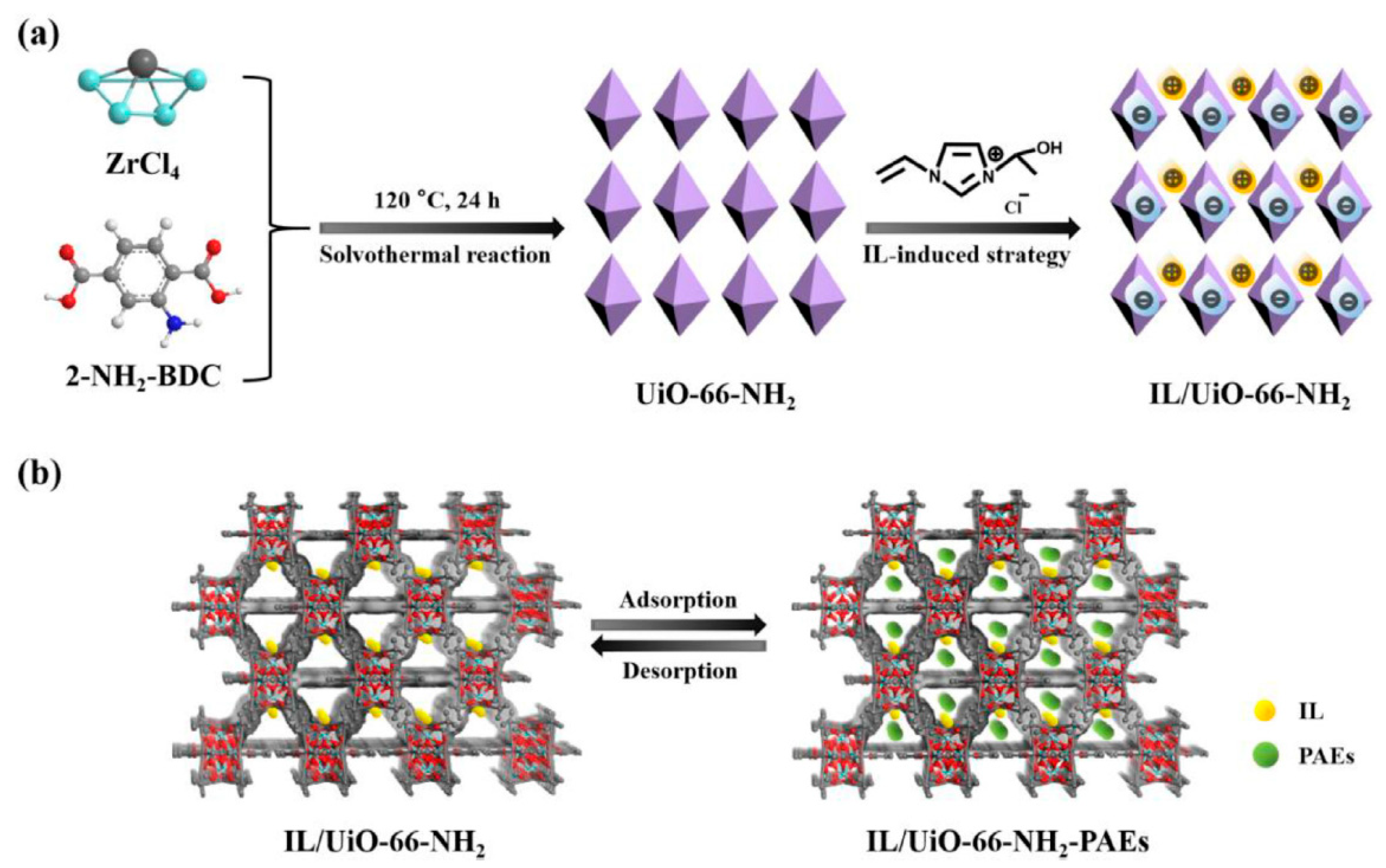 Molecules 29 02802 g006