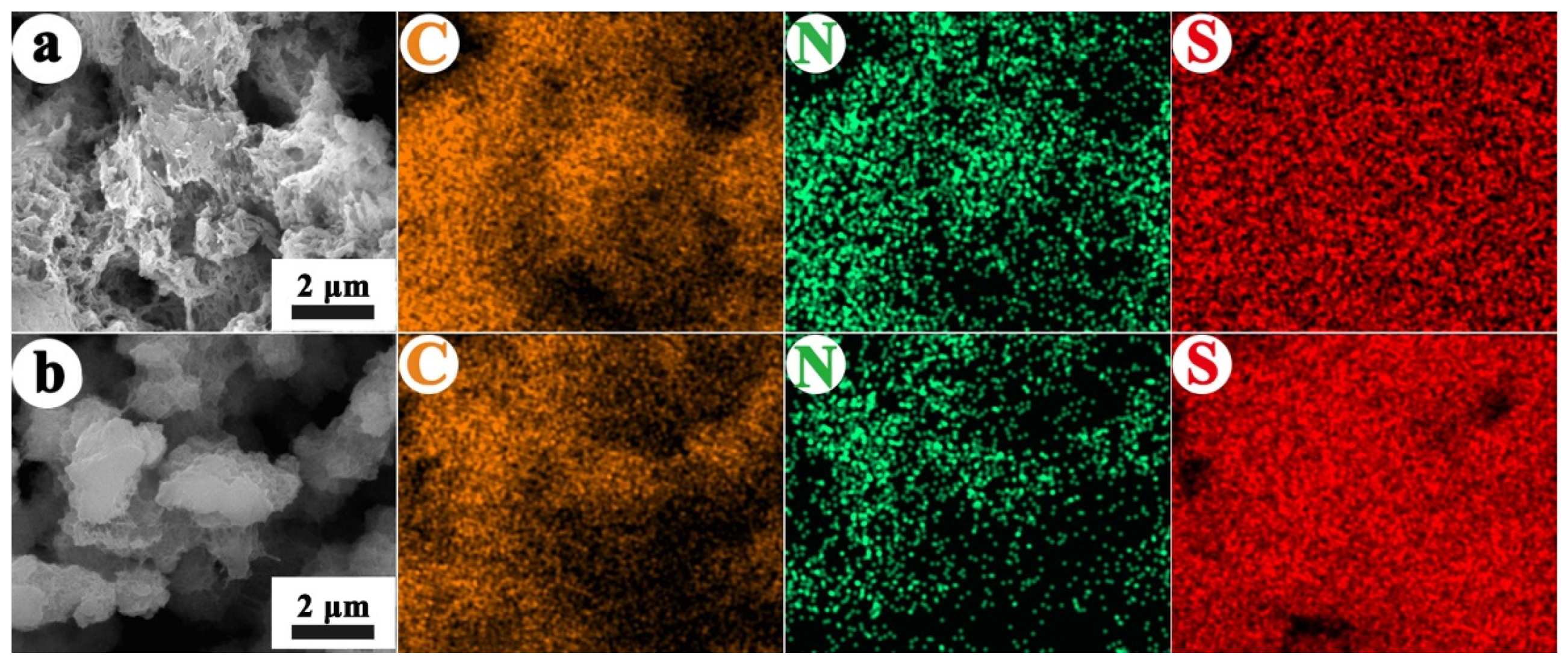 Molecules 29 02807 g002