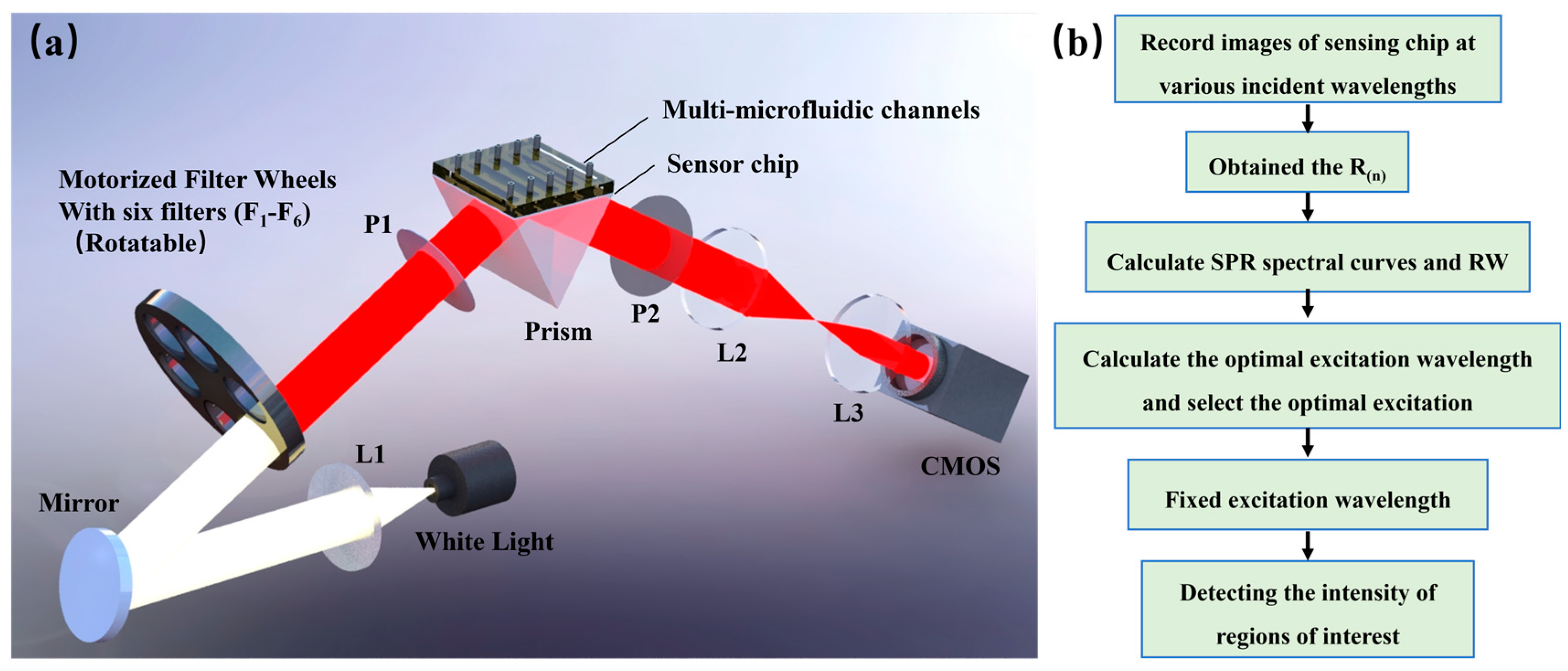 Molecules 29 02811 g004