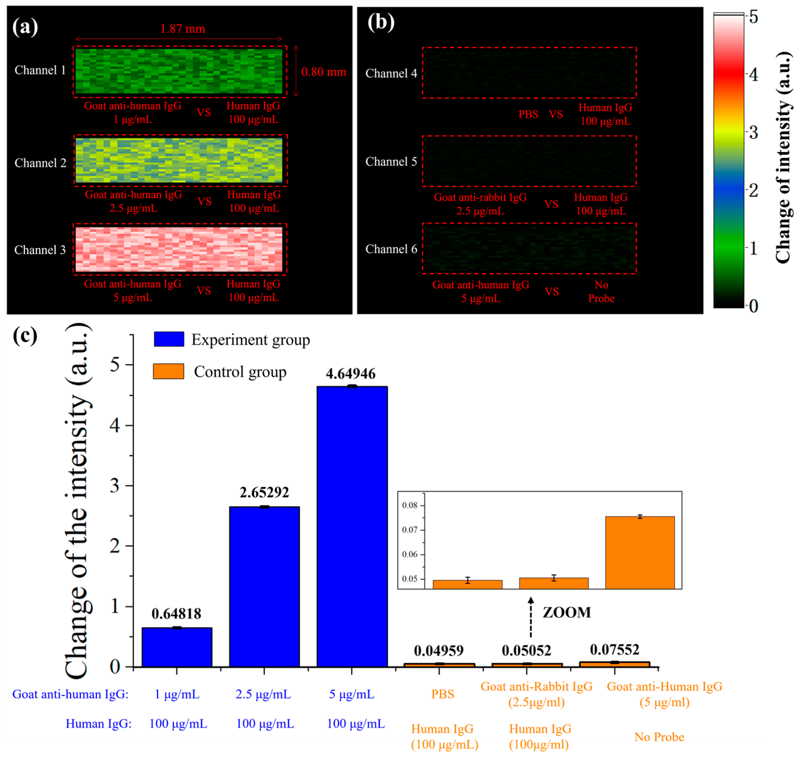Molecules 29 02811 g006