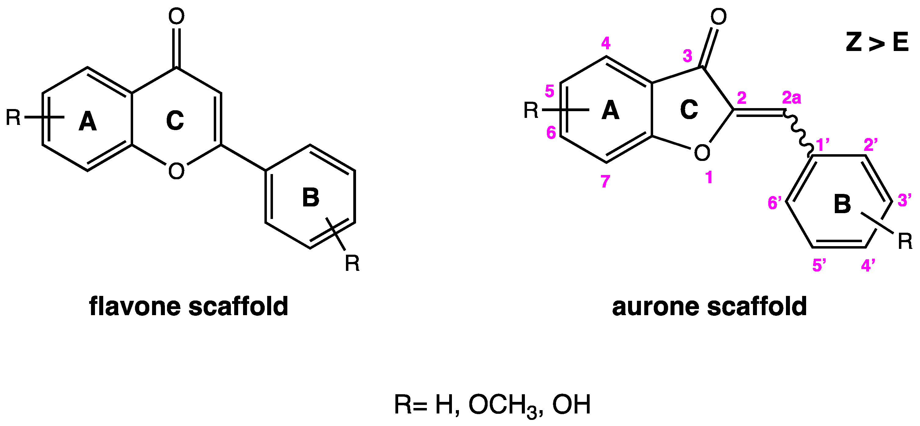 Molecules 29 02813 g001