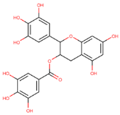 Molecules 29 02818 i004