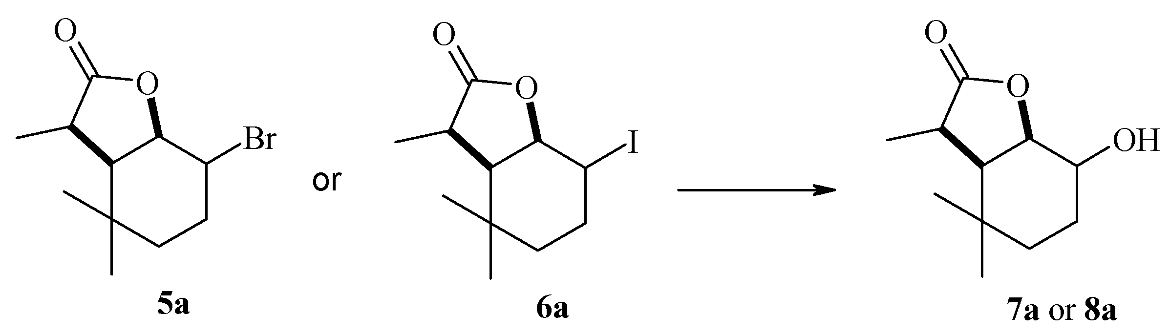 Molecules 29 02820 g005