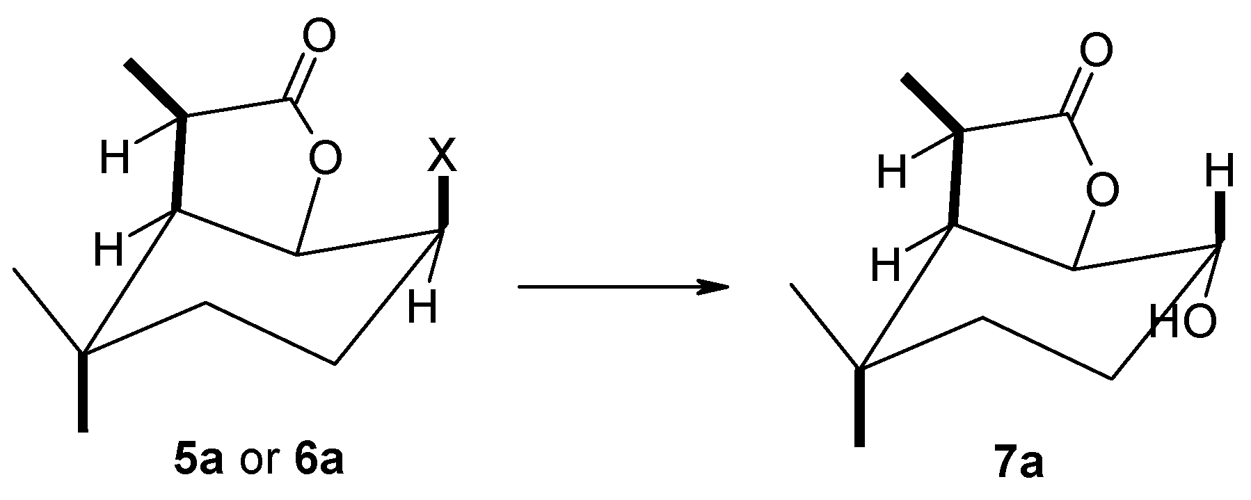 Molecules 29 02820 g006