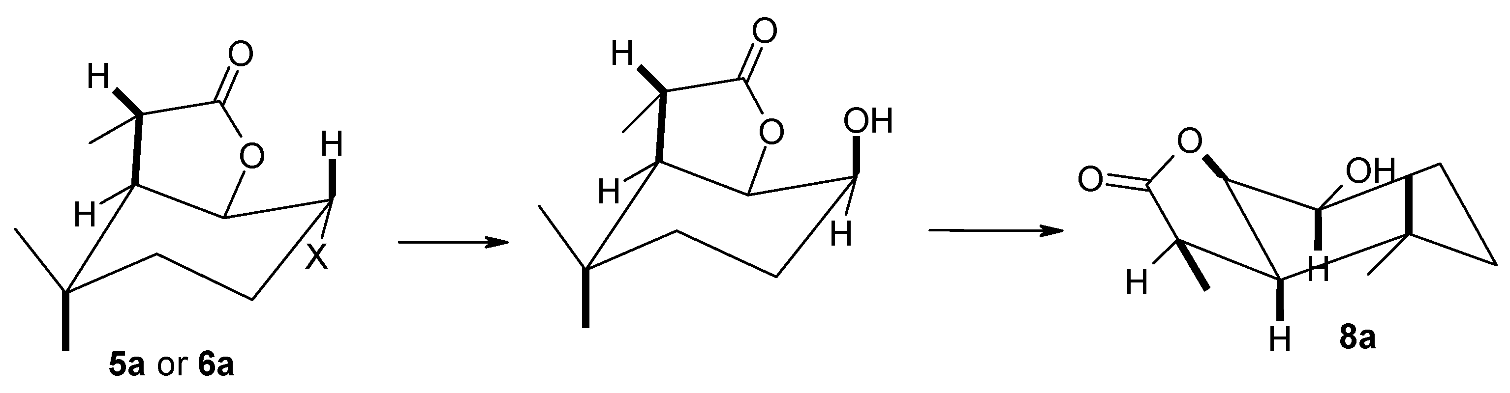 Molecules 29 02820 g007