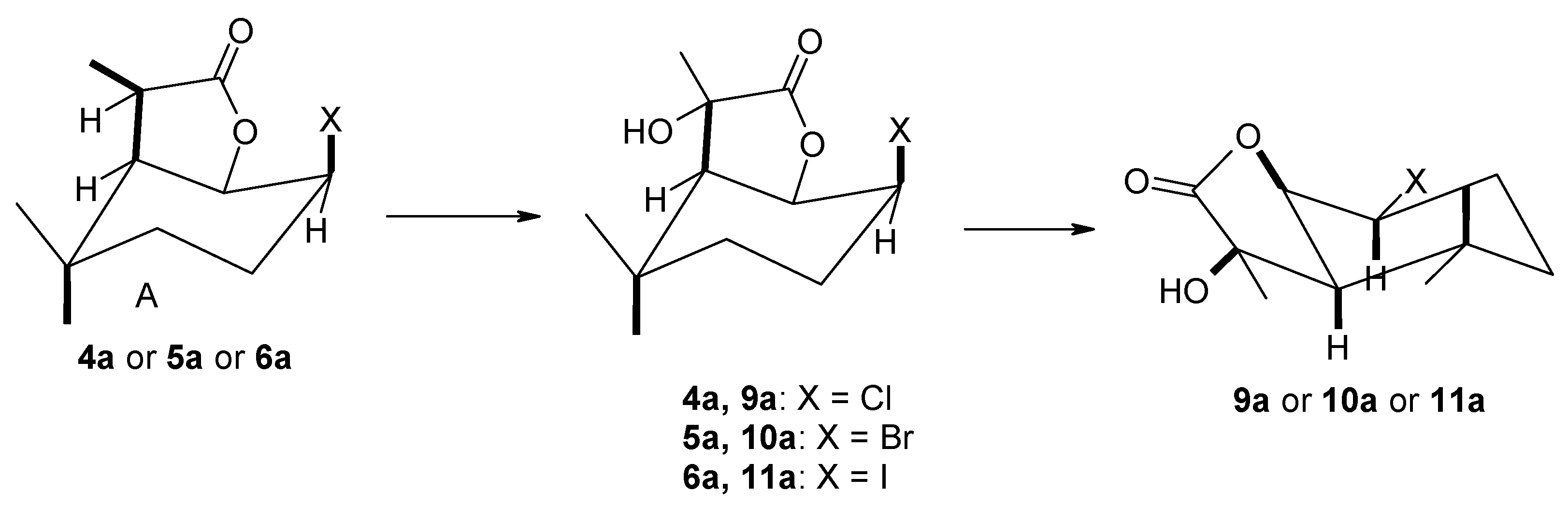 Molecules 29 02820 g009