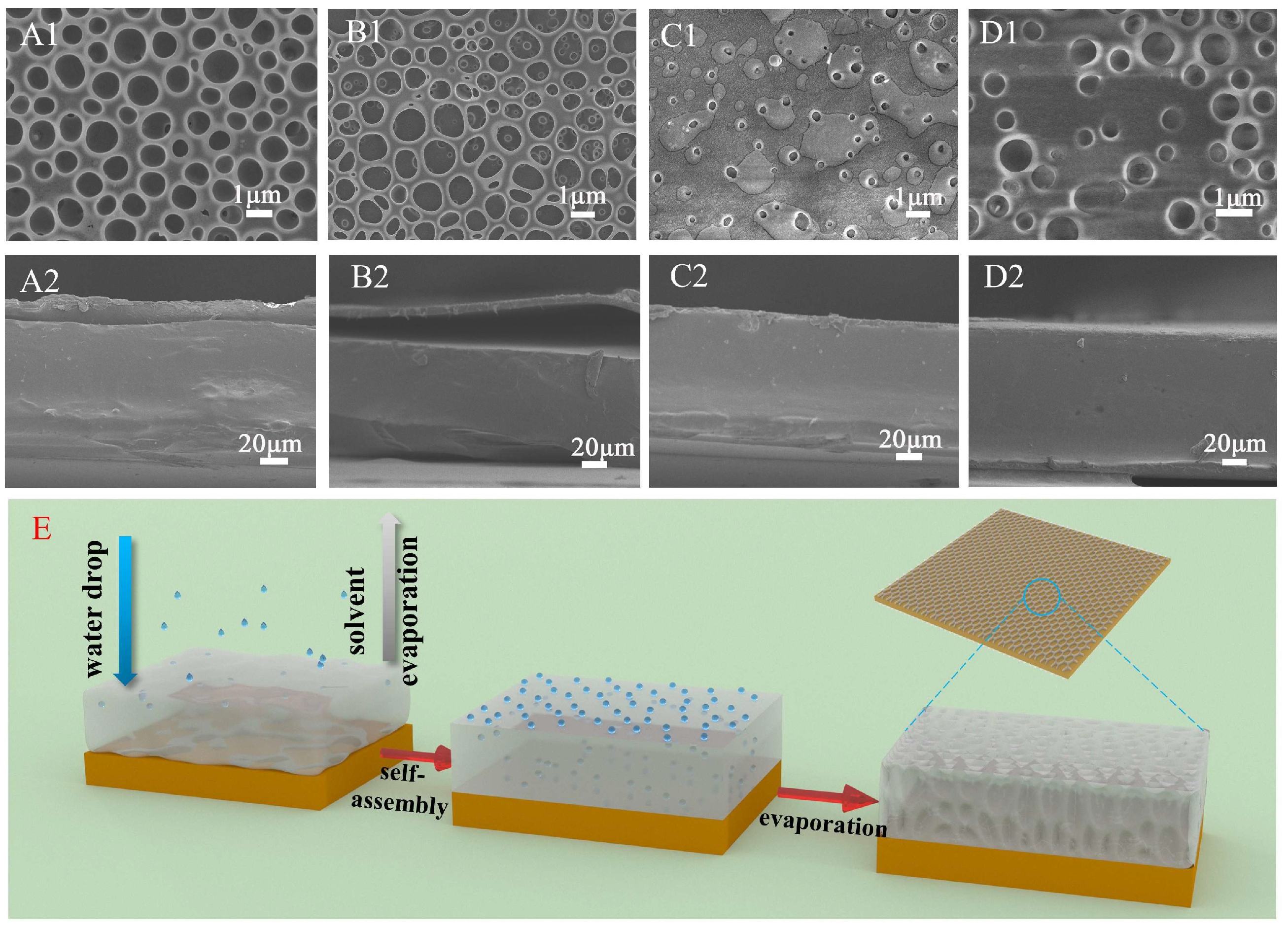 Molecules 29 02822 g001