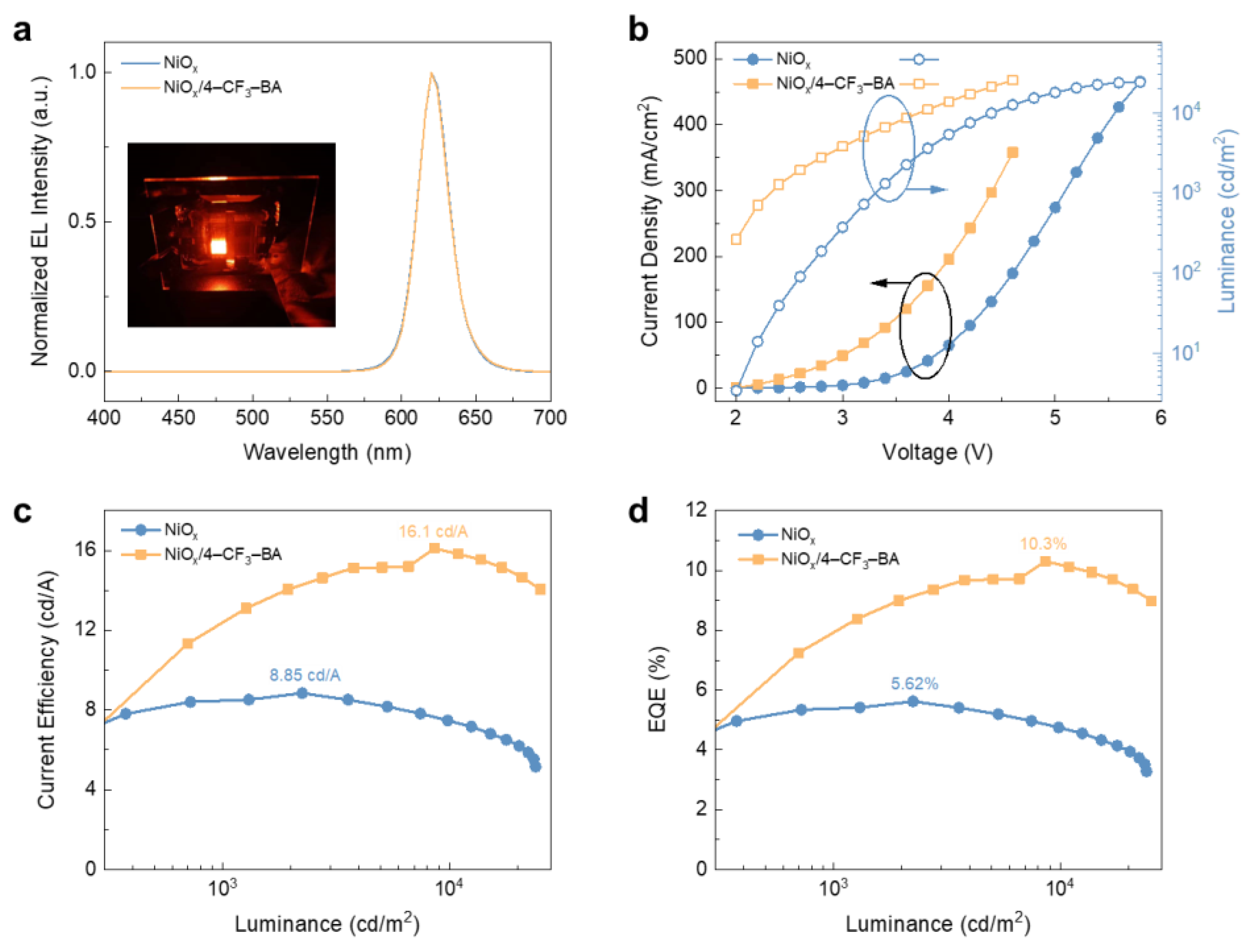Molecules 29 02828 g004