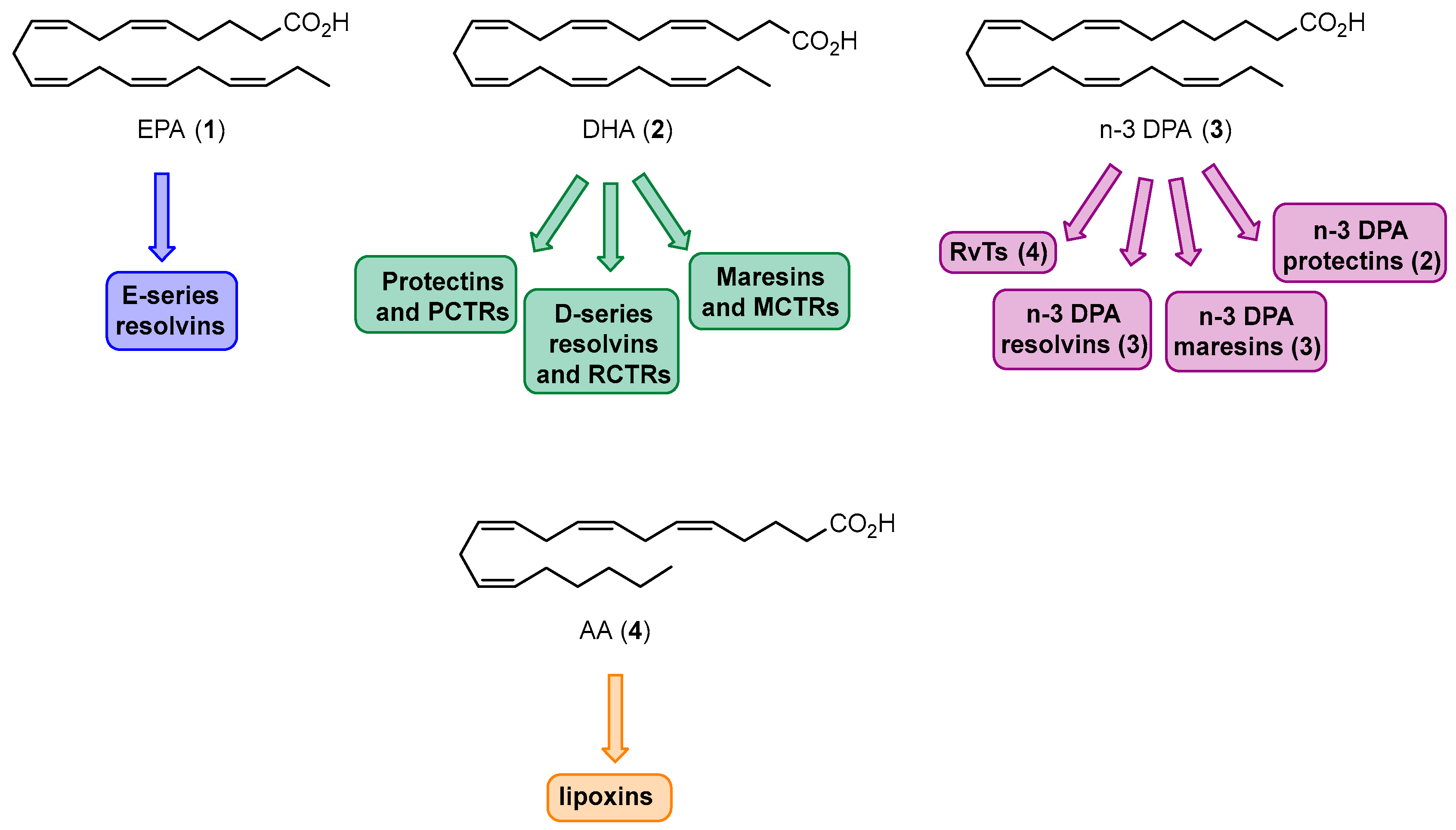 Molecules 29 02833 g004