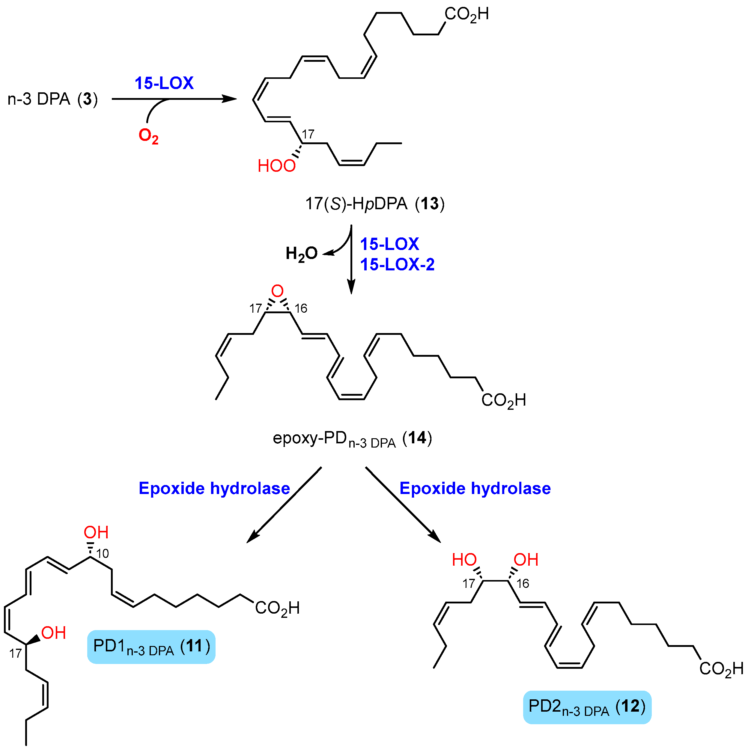 Molecules 29 02833 sch001