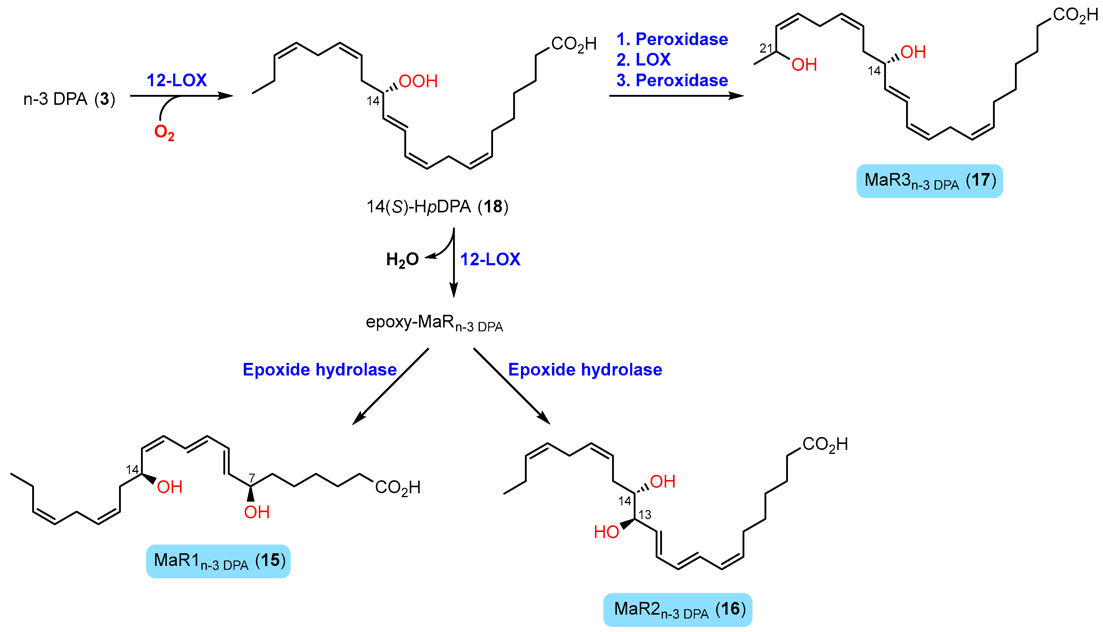 Molecules 29 02833 sch002