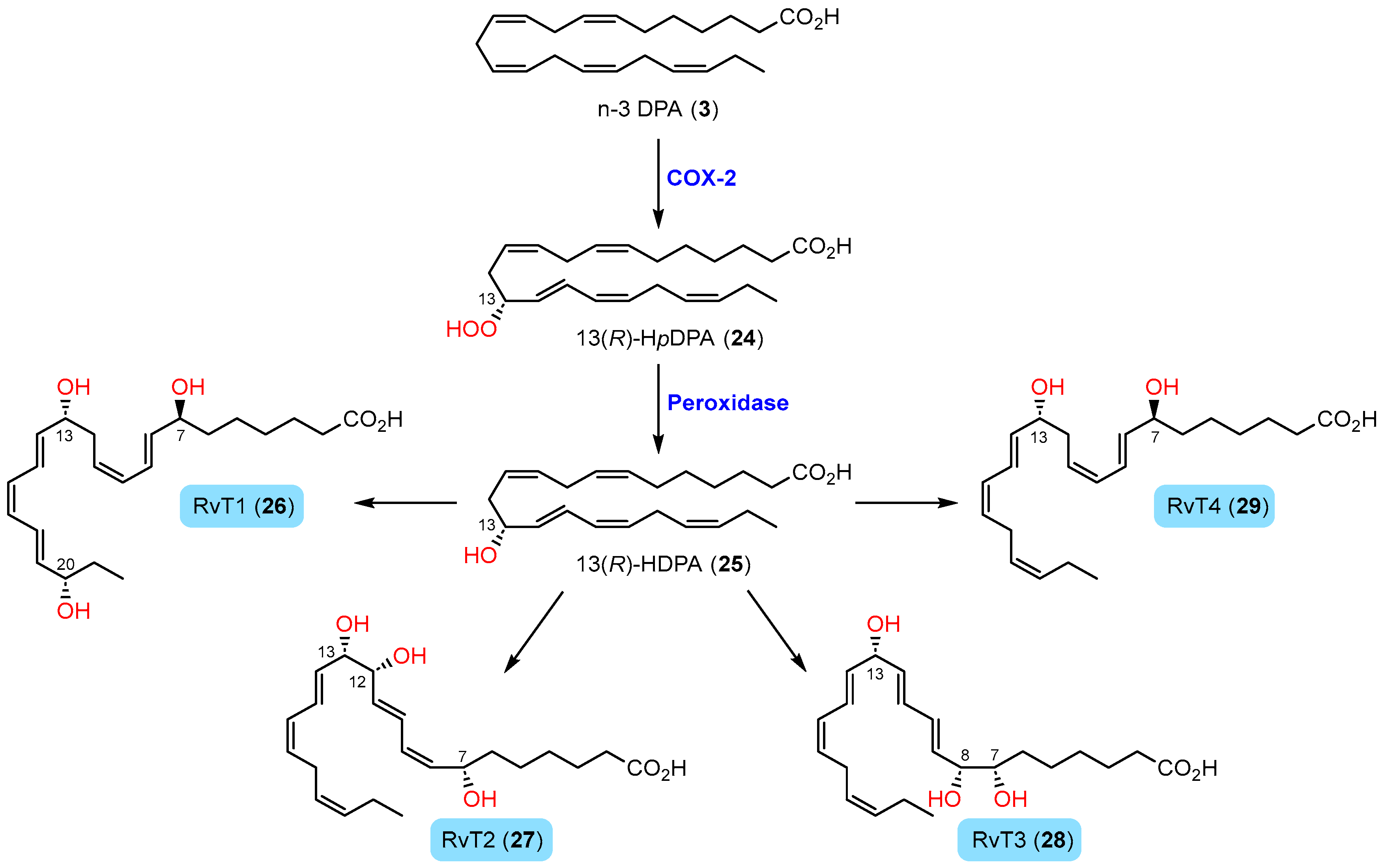 Molecules 29 02833 sch004