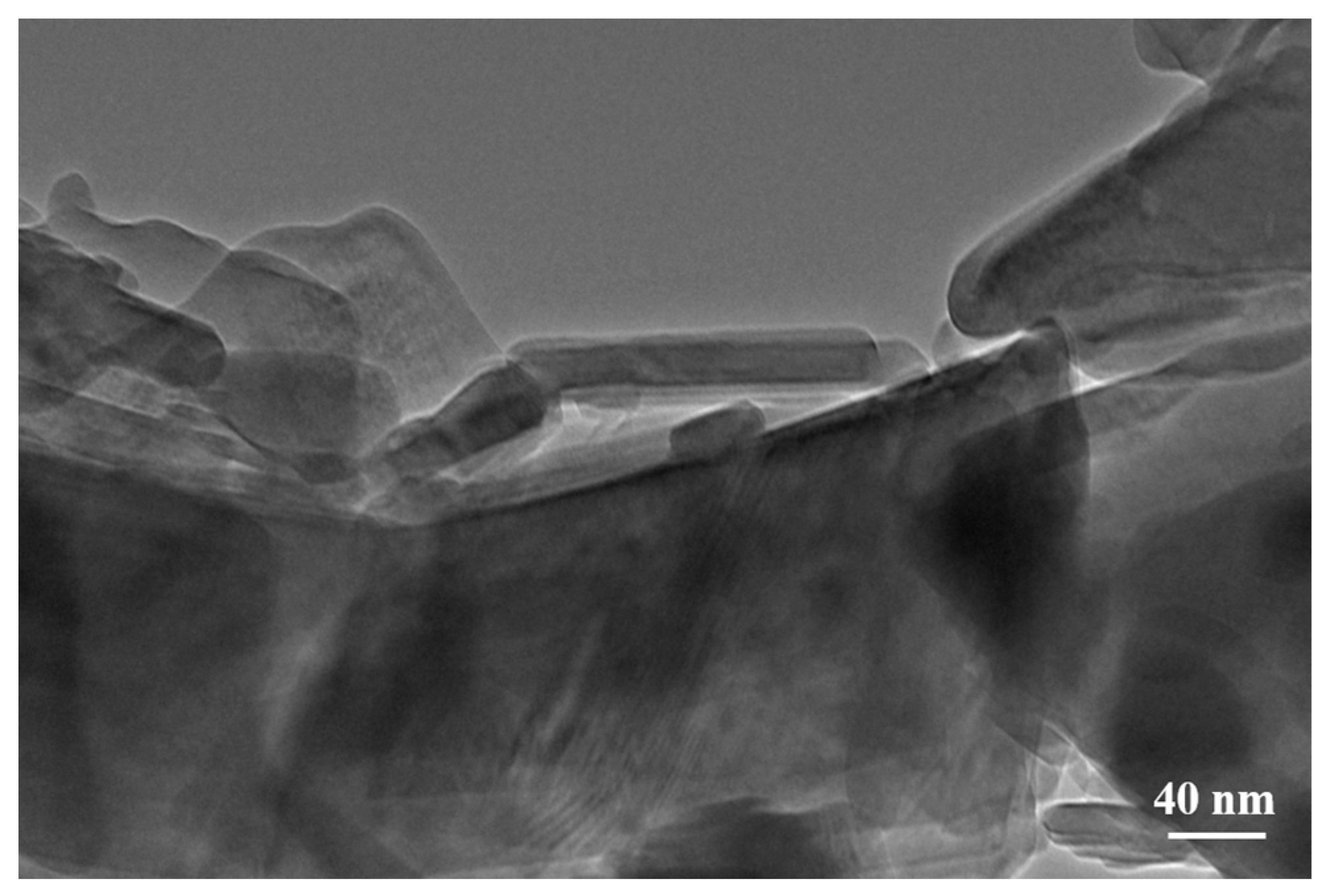 Molecules 29 02834 g004