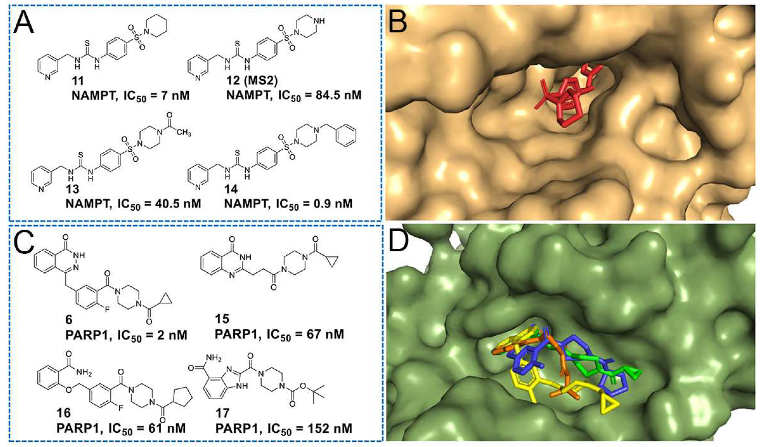 Molecules 29 02836 g003