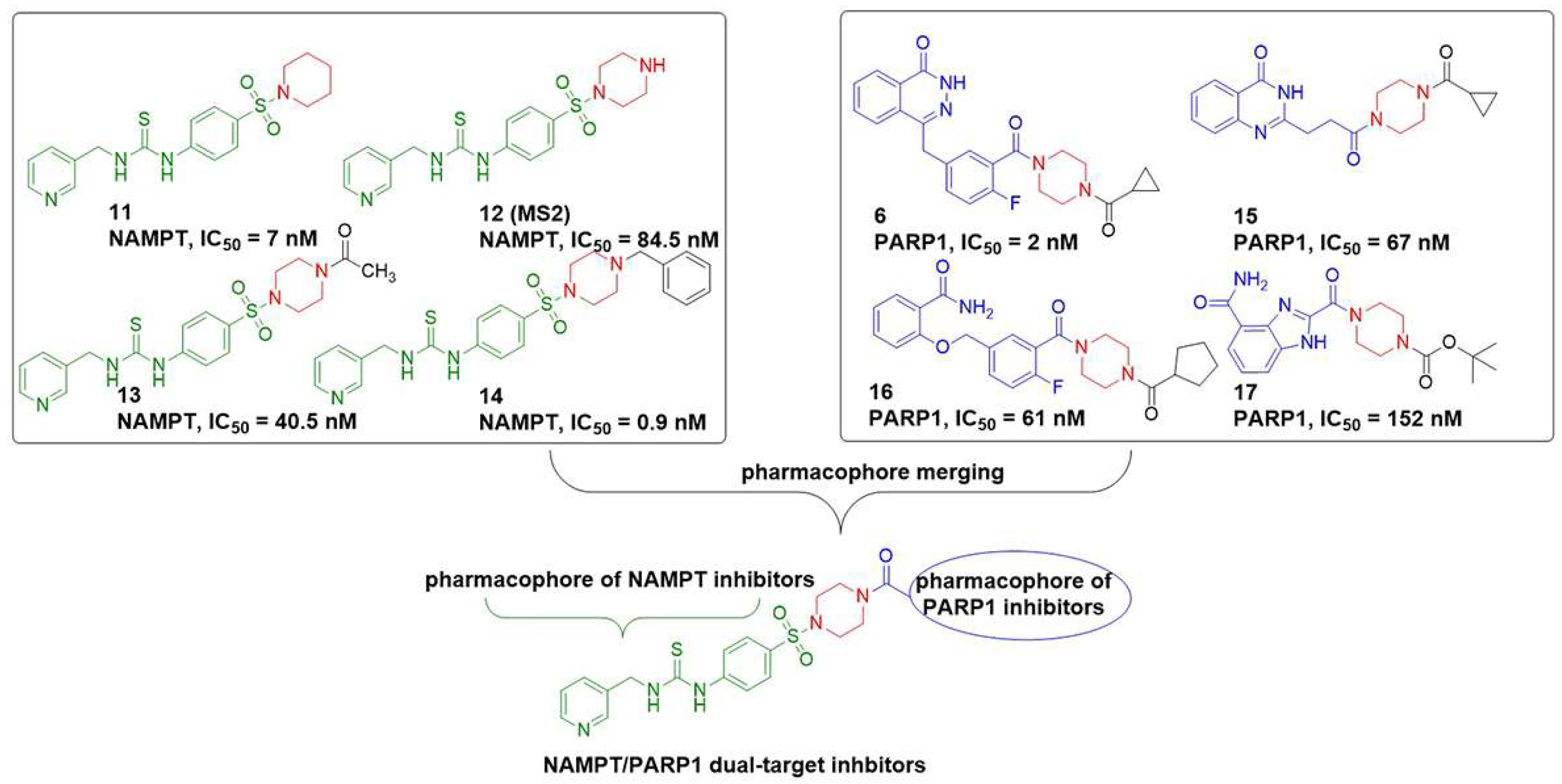 Molecules 29 02836 g004